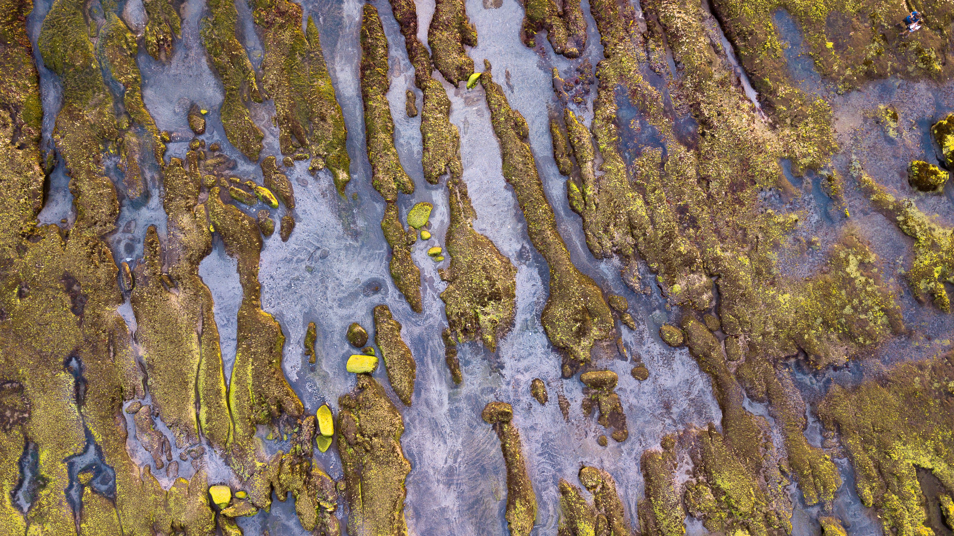 Aerial View of Textured Earth Patterns in Vietnam · Free Stock Photo
