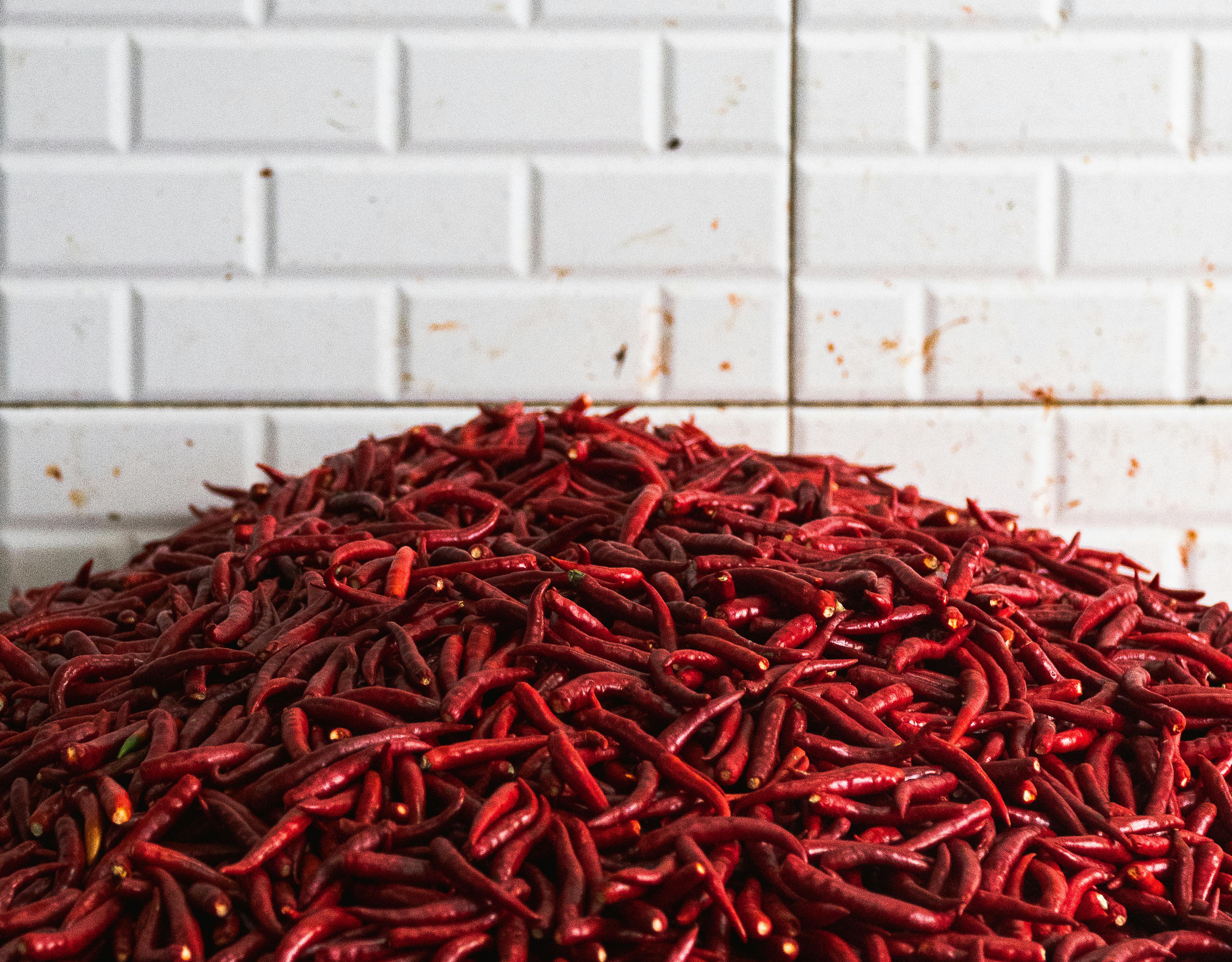 Gratis En fargerik haug med røde chilipepper foran en hvit flislagt vegg i Vietnam. Arkivbilde