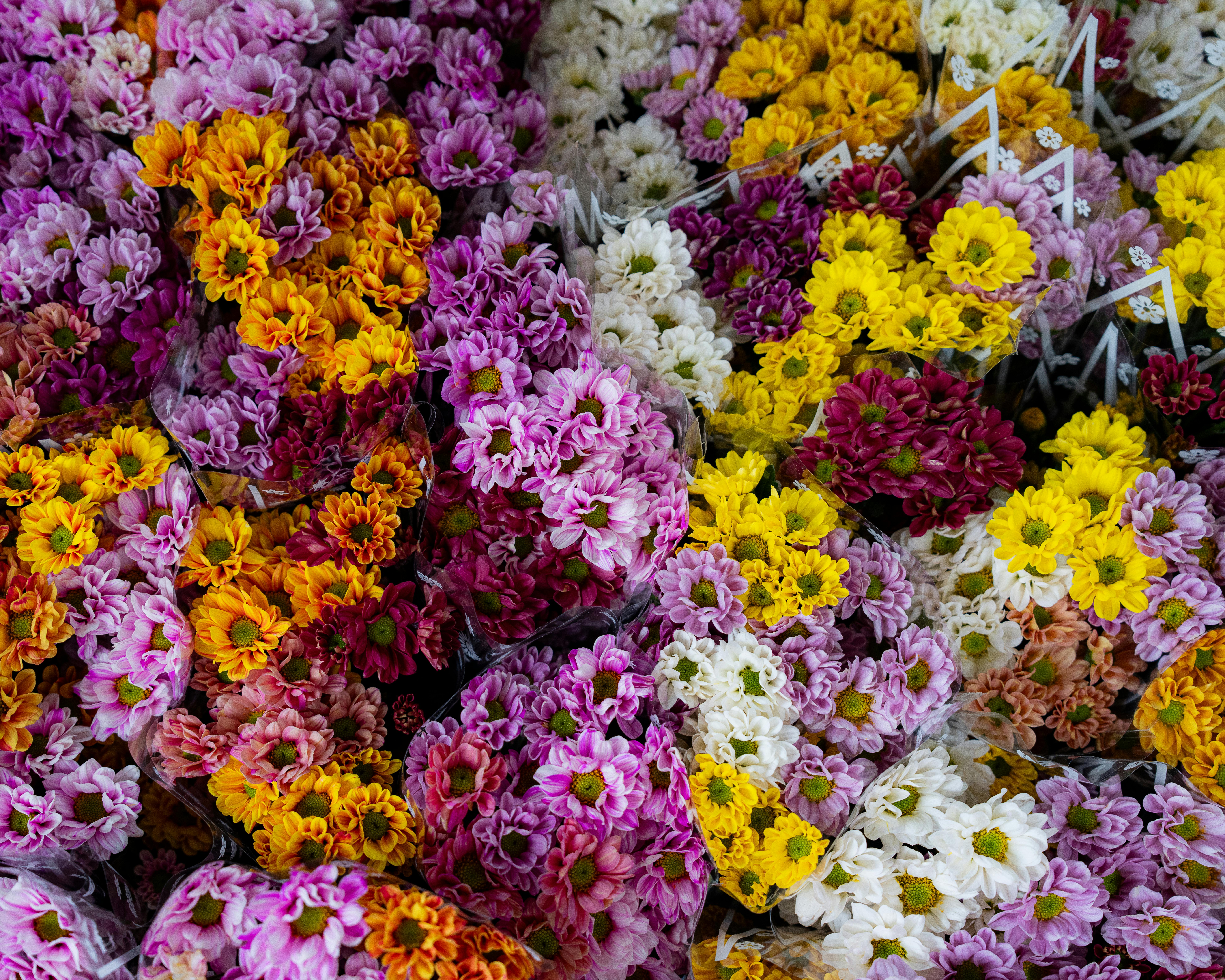 [ColoSach]-diverse-bouquets-of-colorful-flowers-at-an-outdoor-market-in-vietnam,-showcasing-rich-hues.