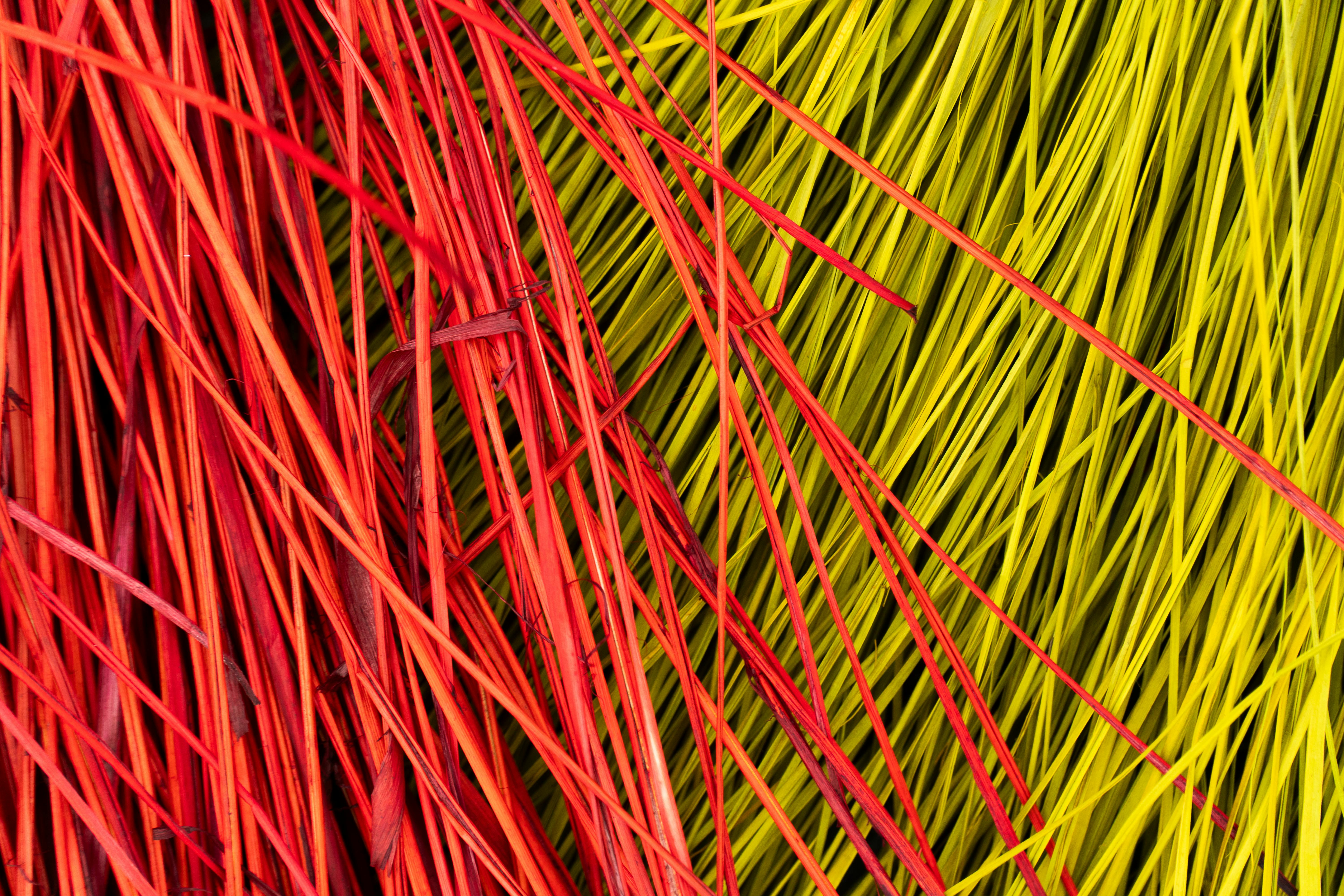 бесплатная Бесплатное стоковое фото с абстрактный, Азия, бамбук Стоковое фото