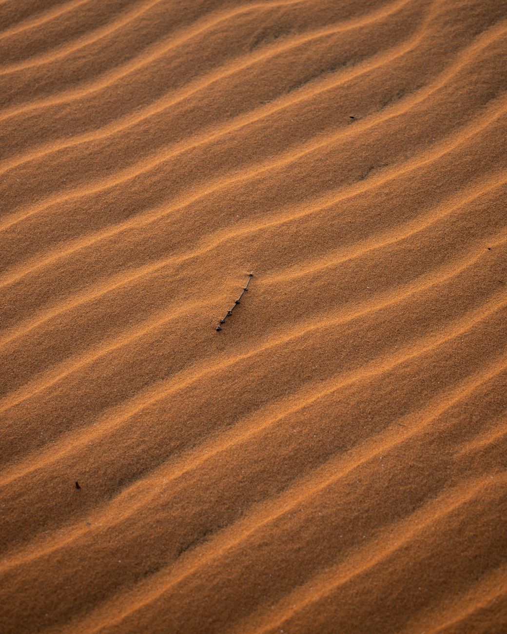 Faszinierendes Geschwungene Sanddünen in der Wüste in Vietnam – Minimalistisch Hintergrundbild