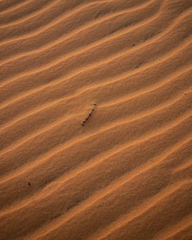 Faszinierendes Geschwungene Sanddünen in der Wüste in Vietnam – Minimalistisch Hintergrundbild