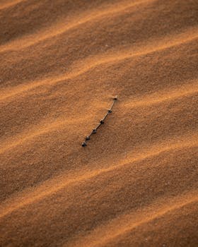 A tranquil view of rippled sand dunes with a lone twig highlighting nature's simplicity.