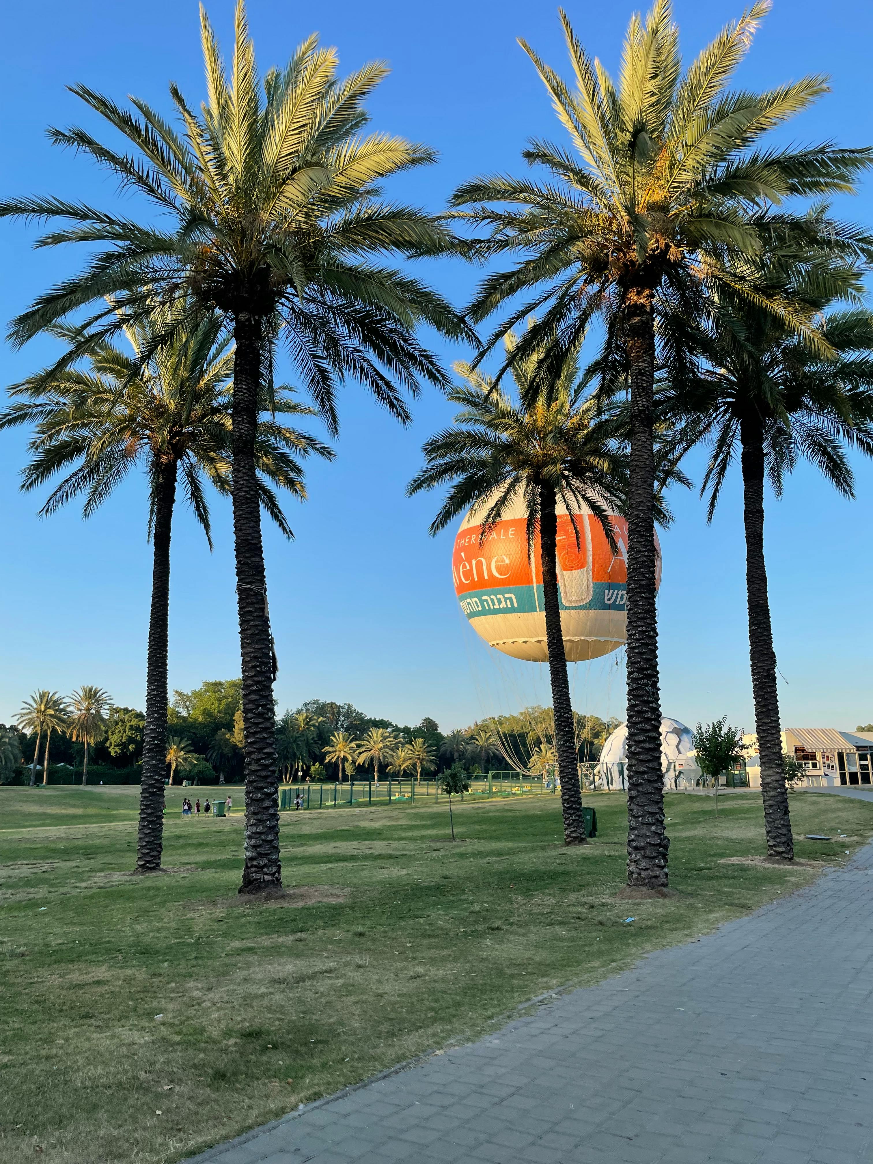 Gratis Pemandangan taman yang damai di Tel Aviv dengan pohon-pohon palem tinggi dan balon udara panas berwarna-warni. Foto Stok