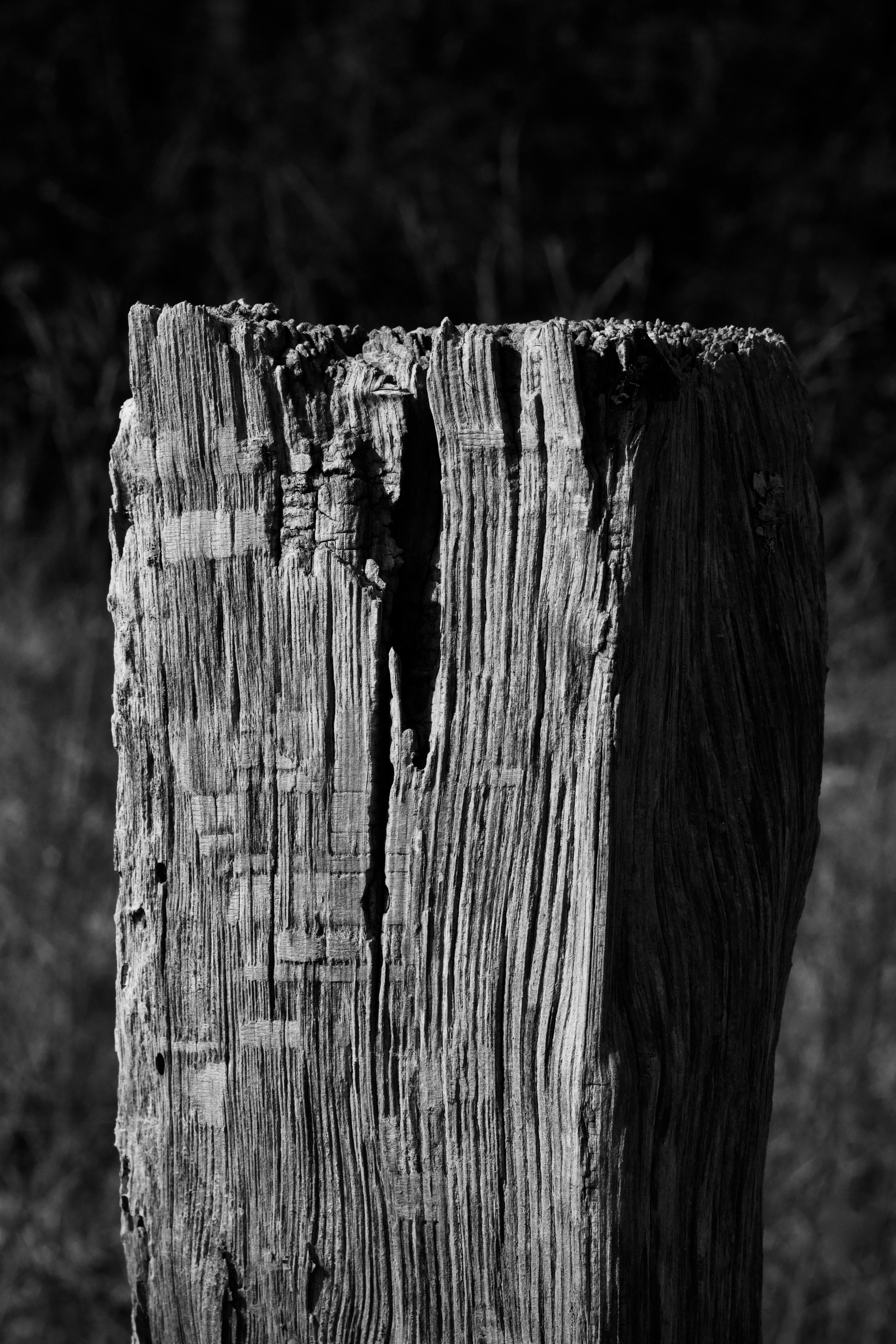 Gratuit Fotografie alb-negru în prim-plan a unui stâlp de lemn texturat, în aer liber, care surprinde degradarea naturală. Fotografie de stoc