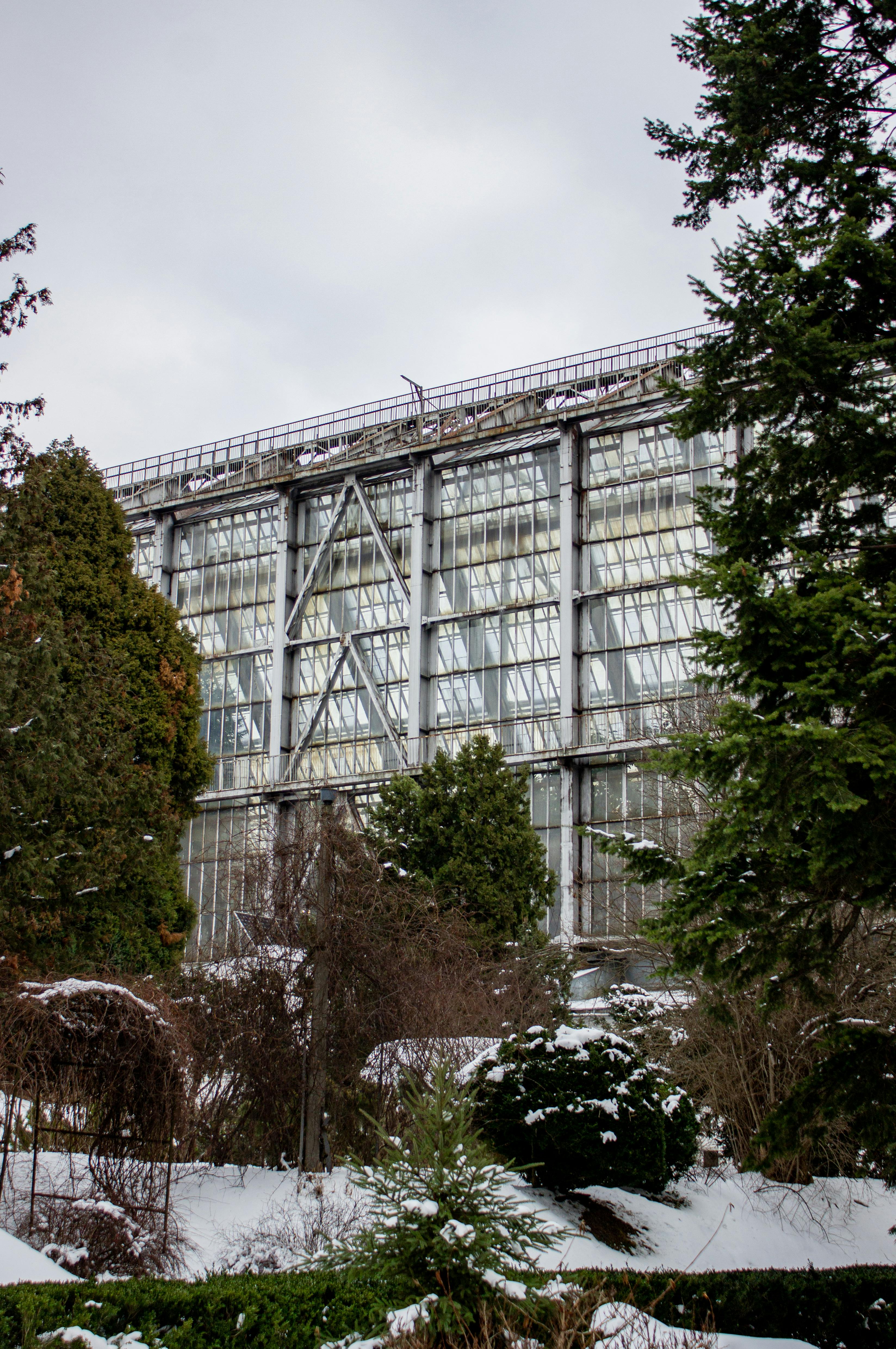 無料 植物園内の雪のような緑に囲まれた、工業風の大きな温室。 写真素材