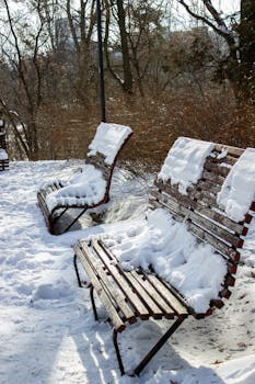 Empty benches covered in snow in a serene winter park scene.