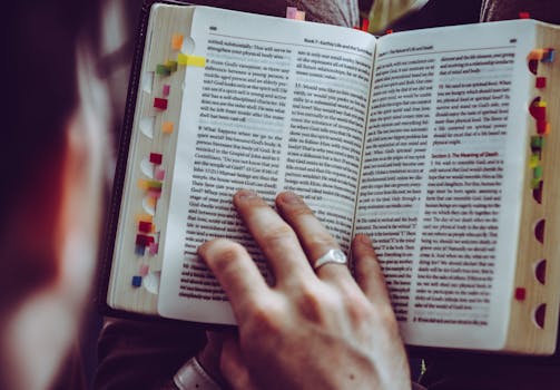 Hands holding an open book with colorful tabs, illustrating focused reading and study.