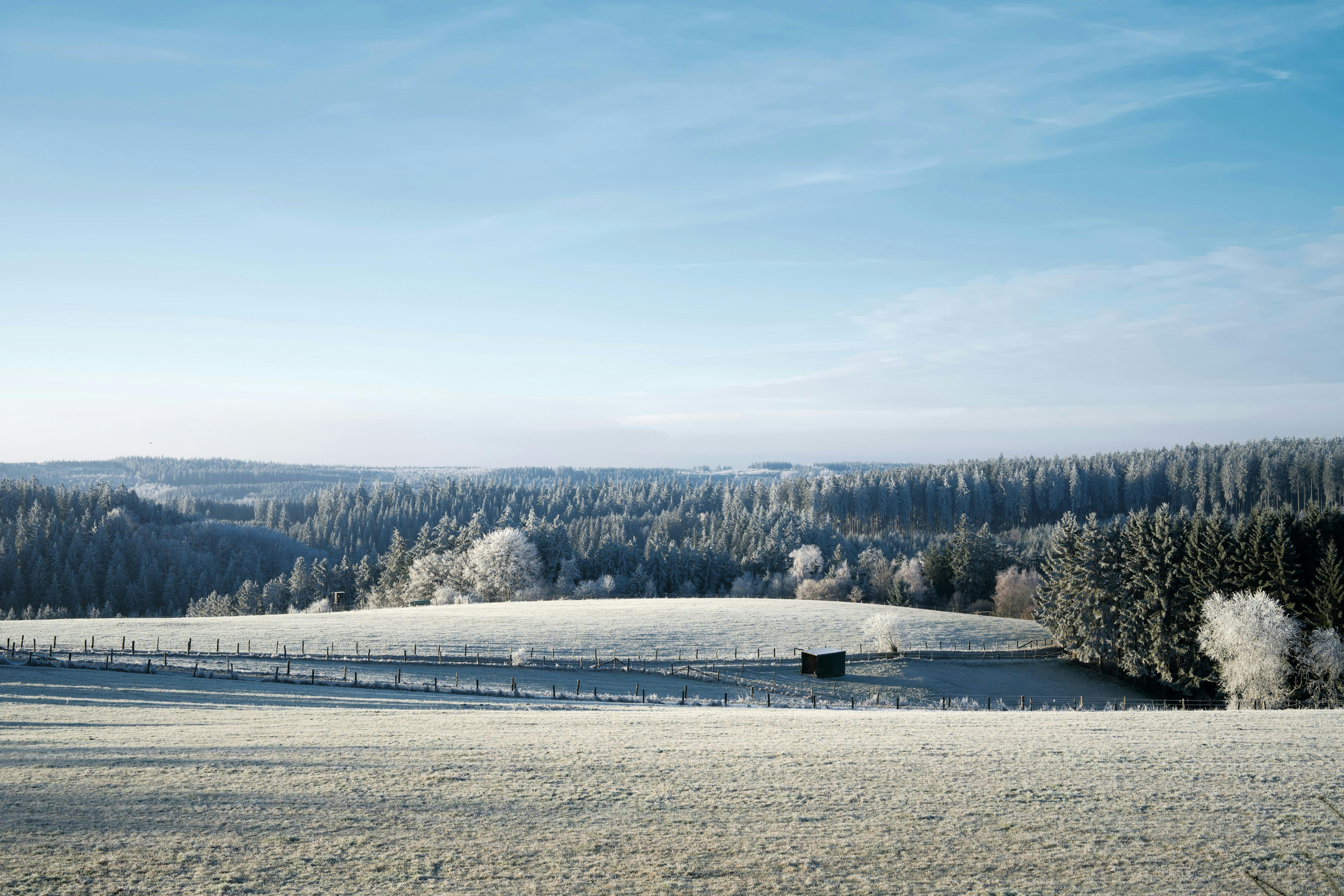 Paysage hivernal Vercors