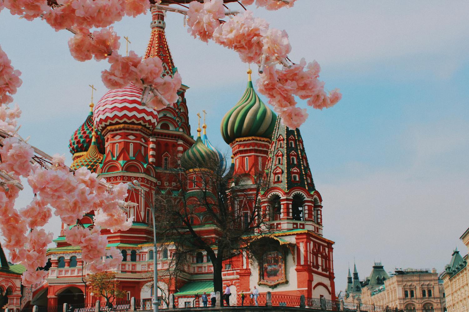 Saint Basil's Cathedral in Moscow framed by cherry blossoms