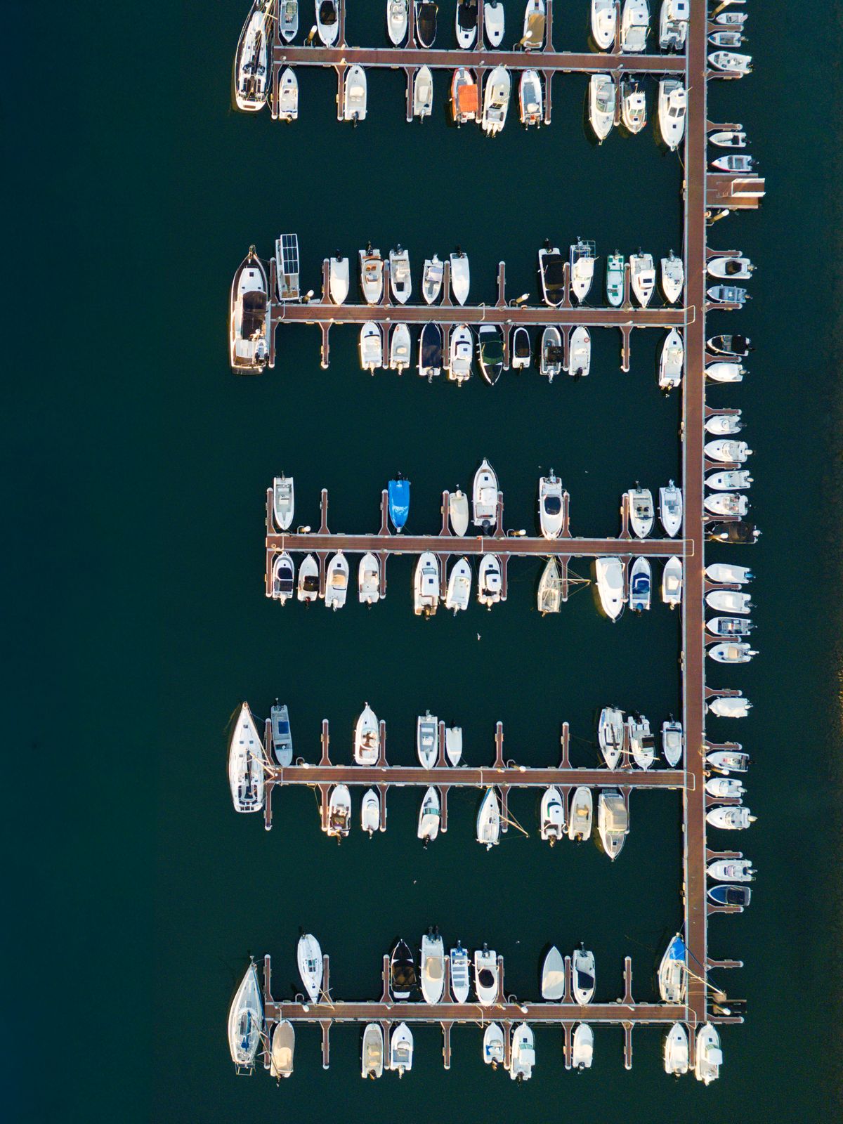 Marina de Olhão, Portugal