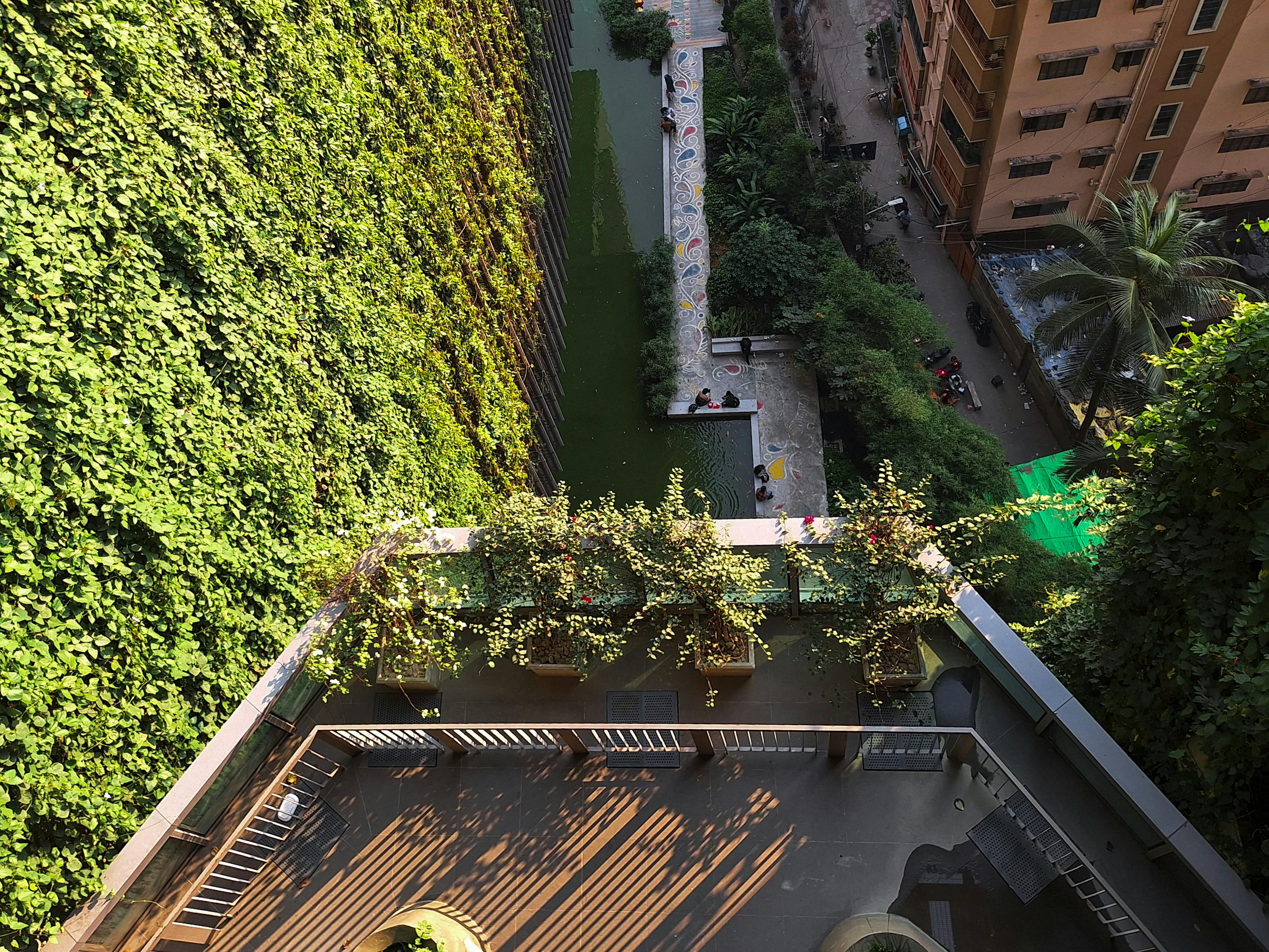 бесплатная Вид сверху на пышный вертикальный сад и городской двор, где люди наслаждаются зеленым пространством. Стоковое фото