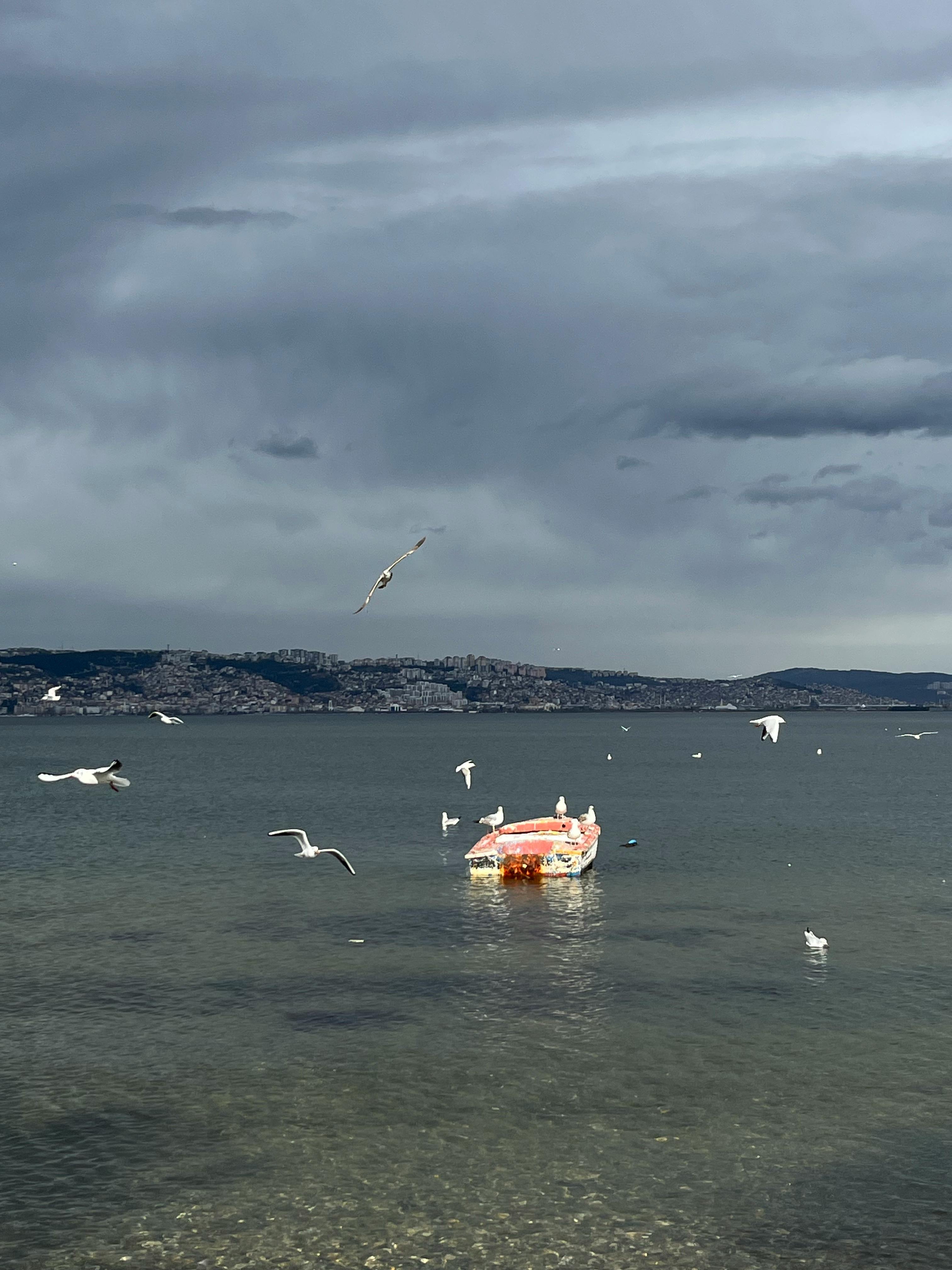 Gratis Foto stok gratis air, air yang tenang, alam Foto Stok