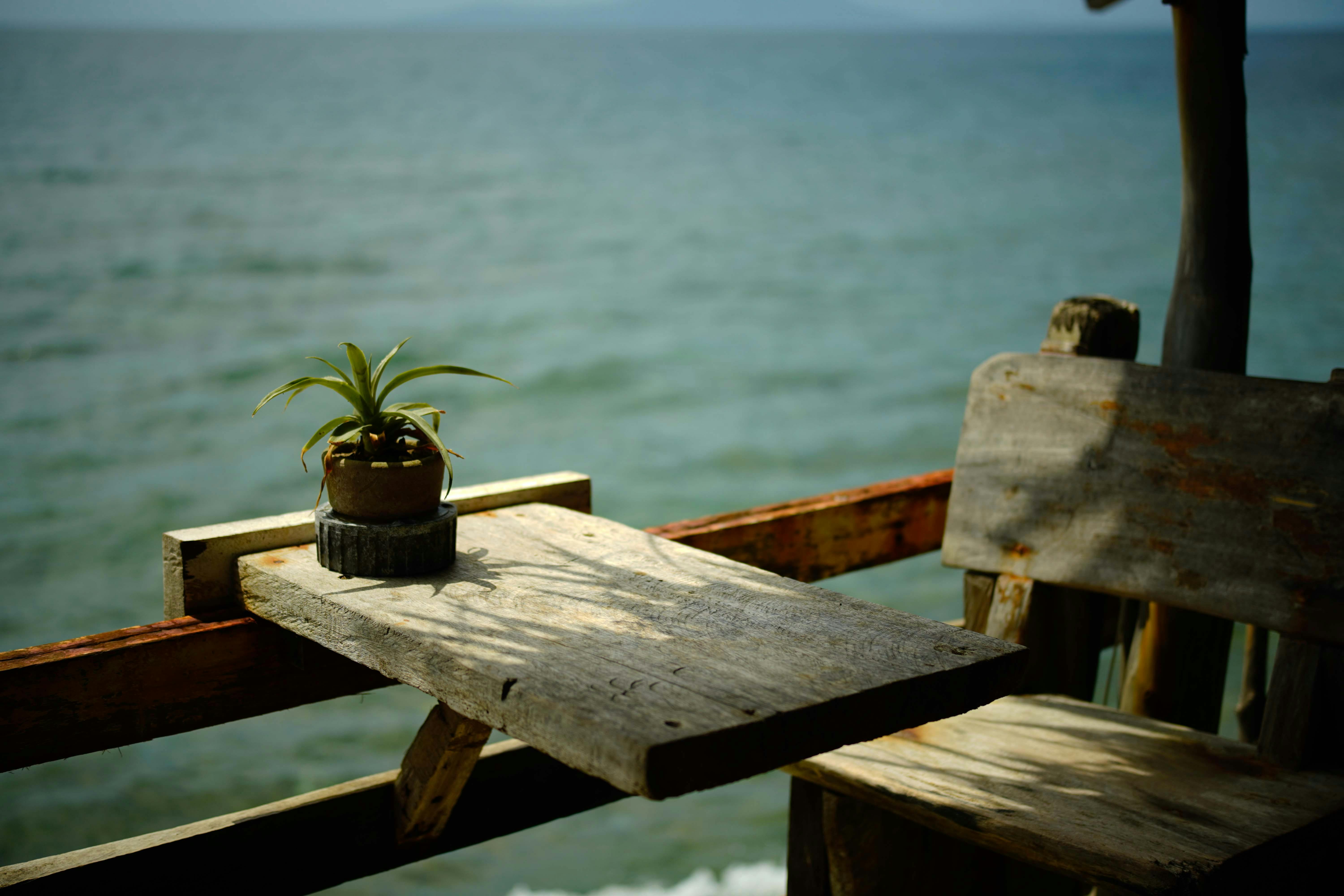 無料 ウッドテクスチャ, オーシャンビュー, くつろぎの無料の写真素材 写真素材