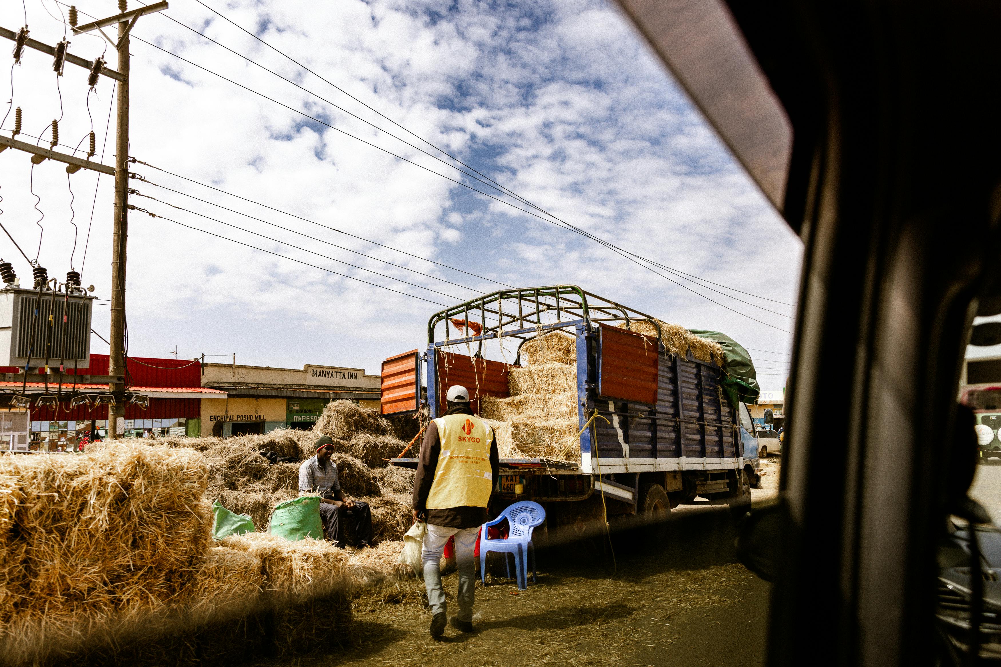 Gratis Pemandangan luar ruangan yang menangkap suasana pasar yang ramai dengan truk pengangkut jerami dan para pekerja. Foto Stok