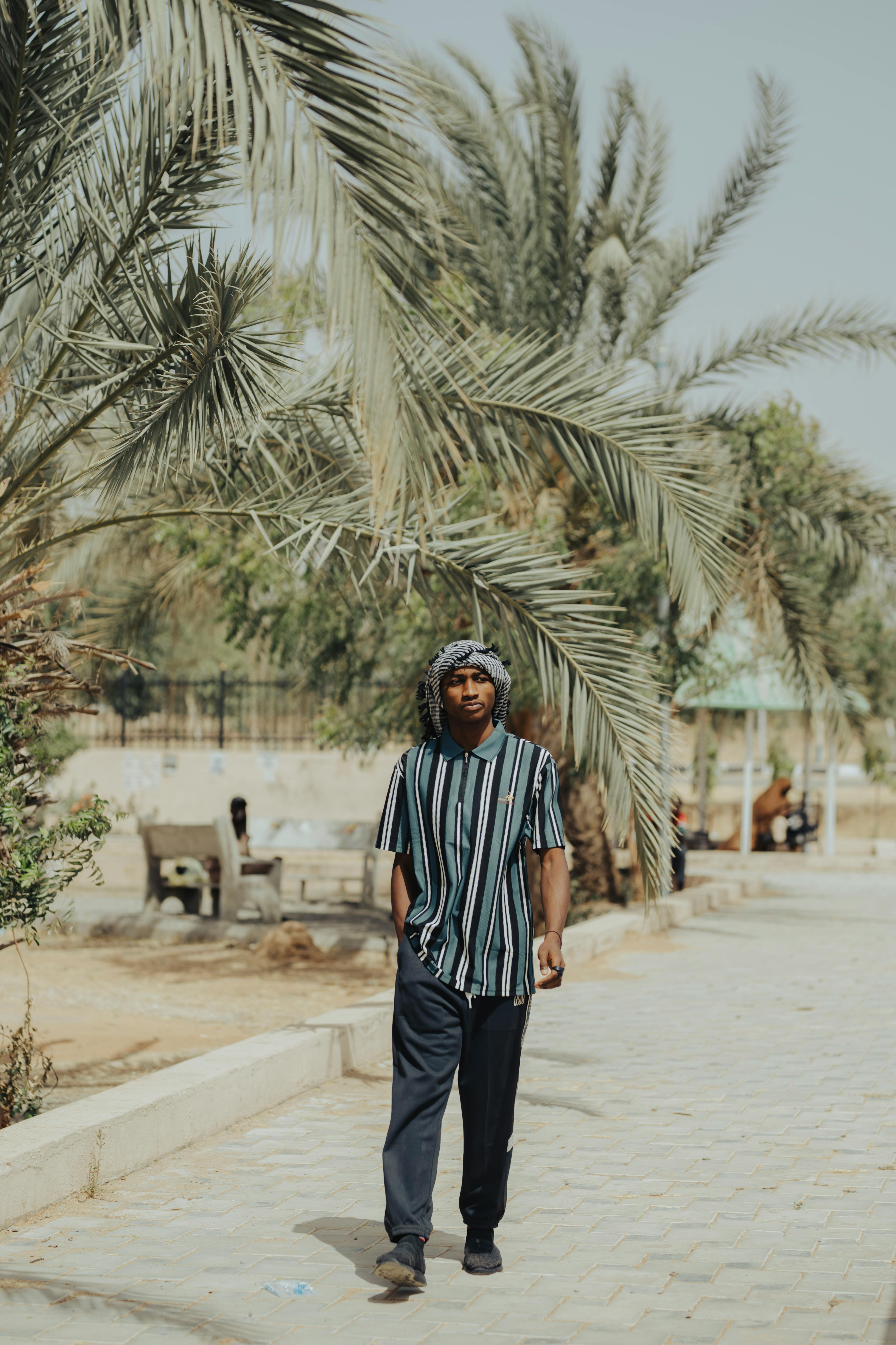 Gratis En mann går under palmer i Kano, Nigeria, på en solskinnsdag. Arkivbilde