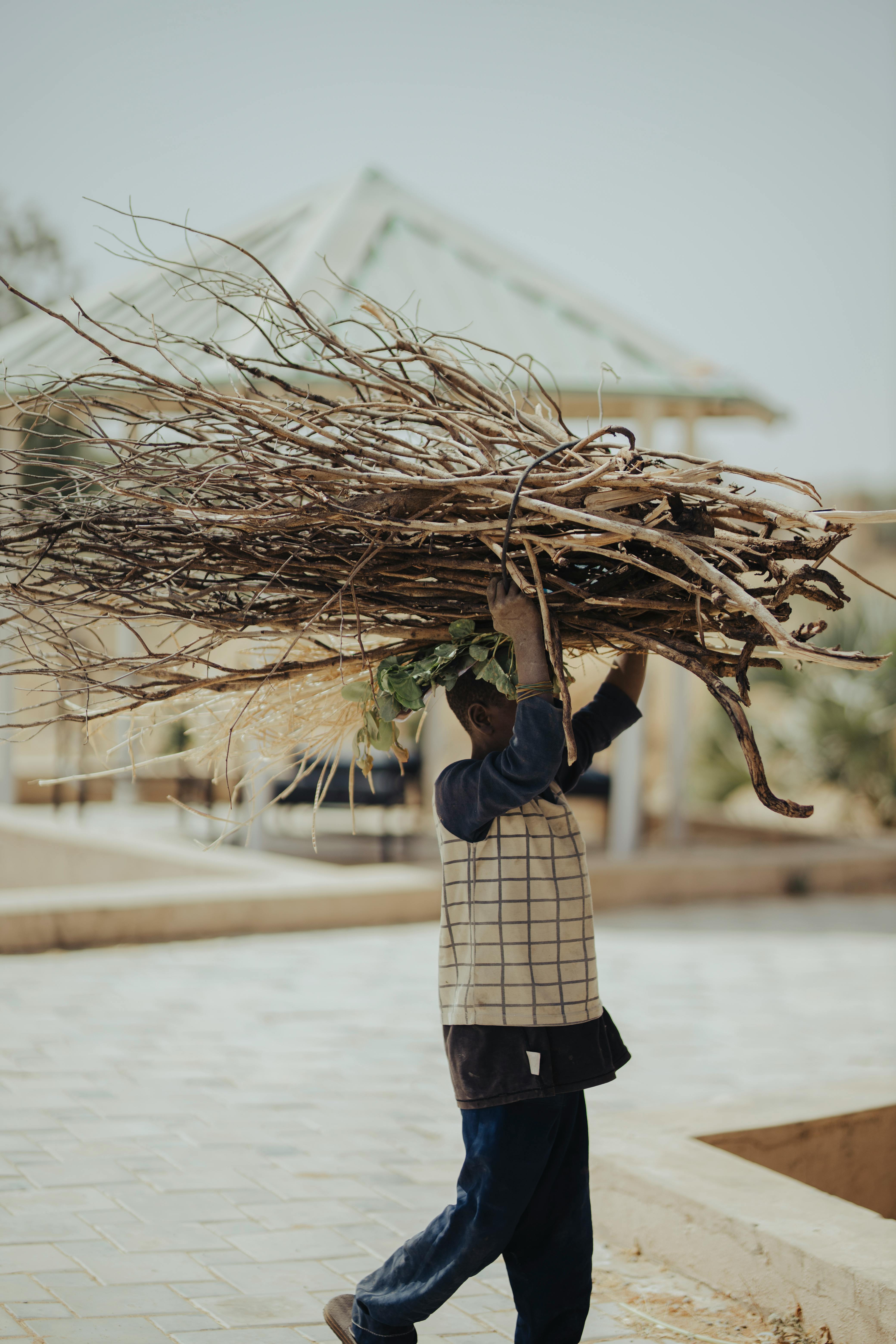 Gratis En ung gutt som bærer en stor bunt med ved på hodet i Kano, Nigeria. Arkivbilde
