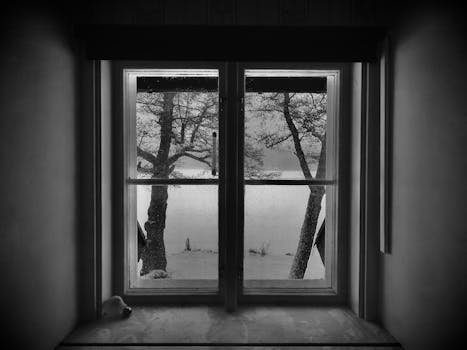 Black and white photo capturing a tranquil snow-covered landscape through a window, invoking a peaceful winter atmosphere.