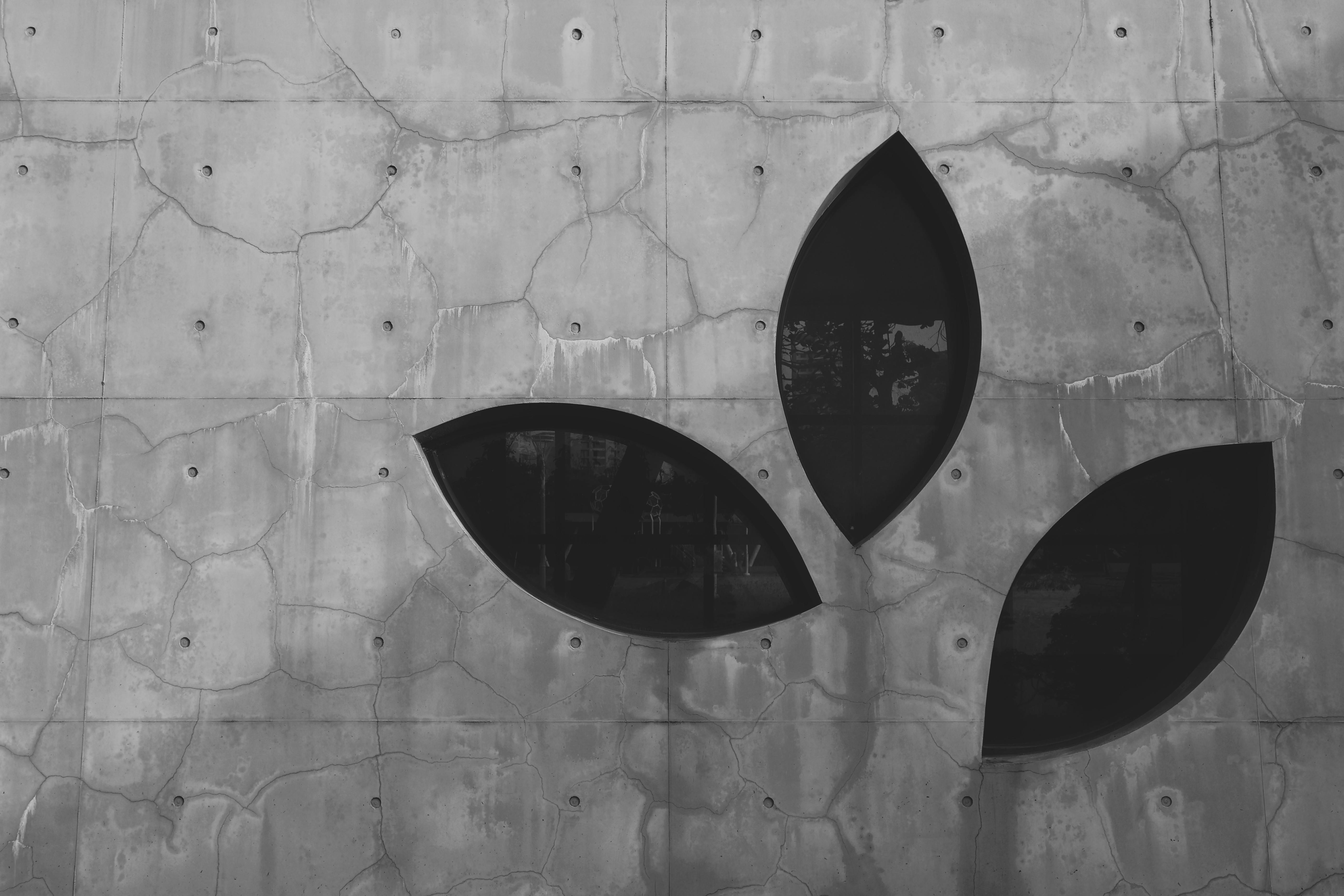 Free Black and white photo of a concrete wall featuring unique leaf-shaped windows in artistic design. Stock Photo