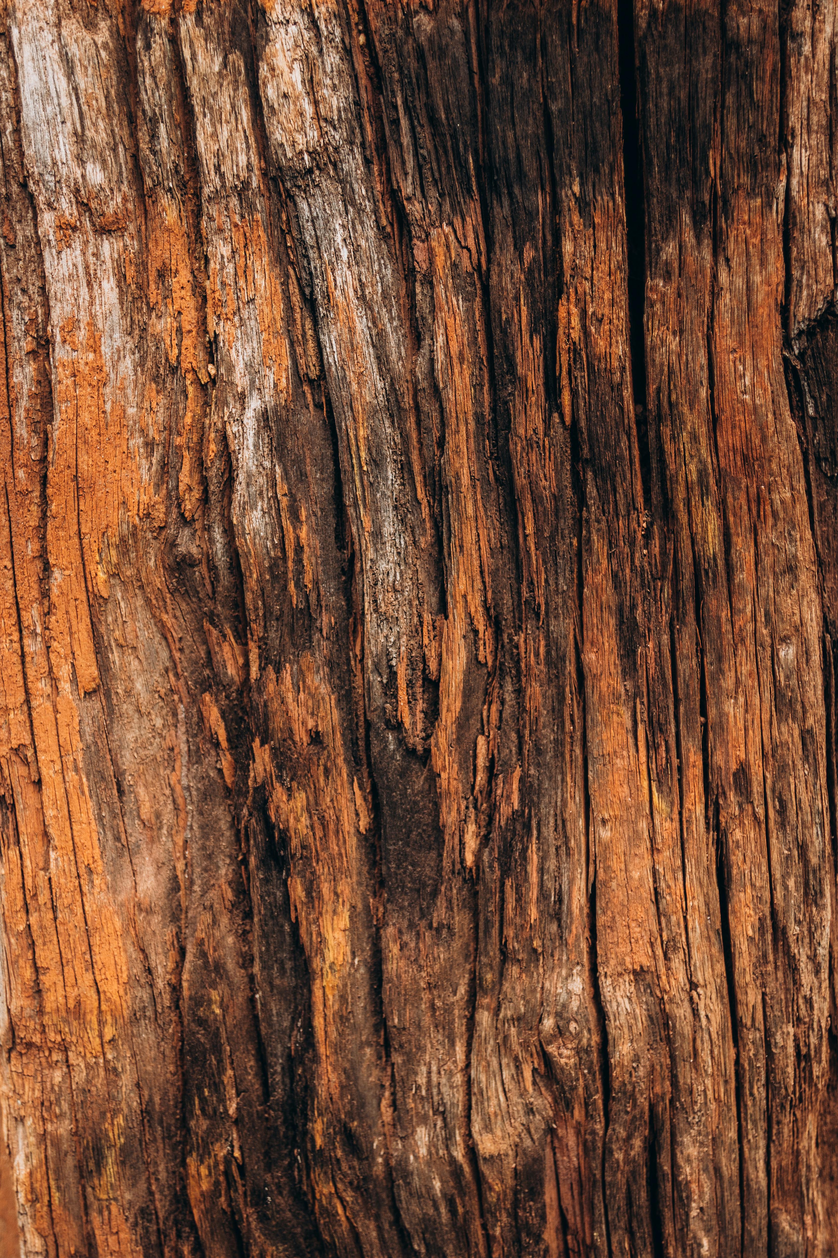 無料 風化した木材の質感を豊かに表現したアースカラーで、自然な模様が表現されています。 写真素材