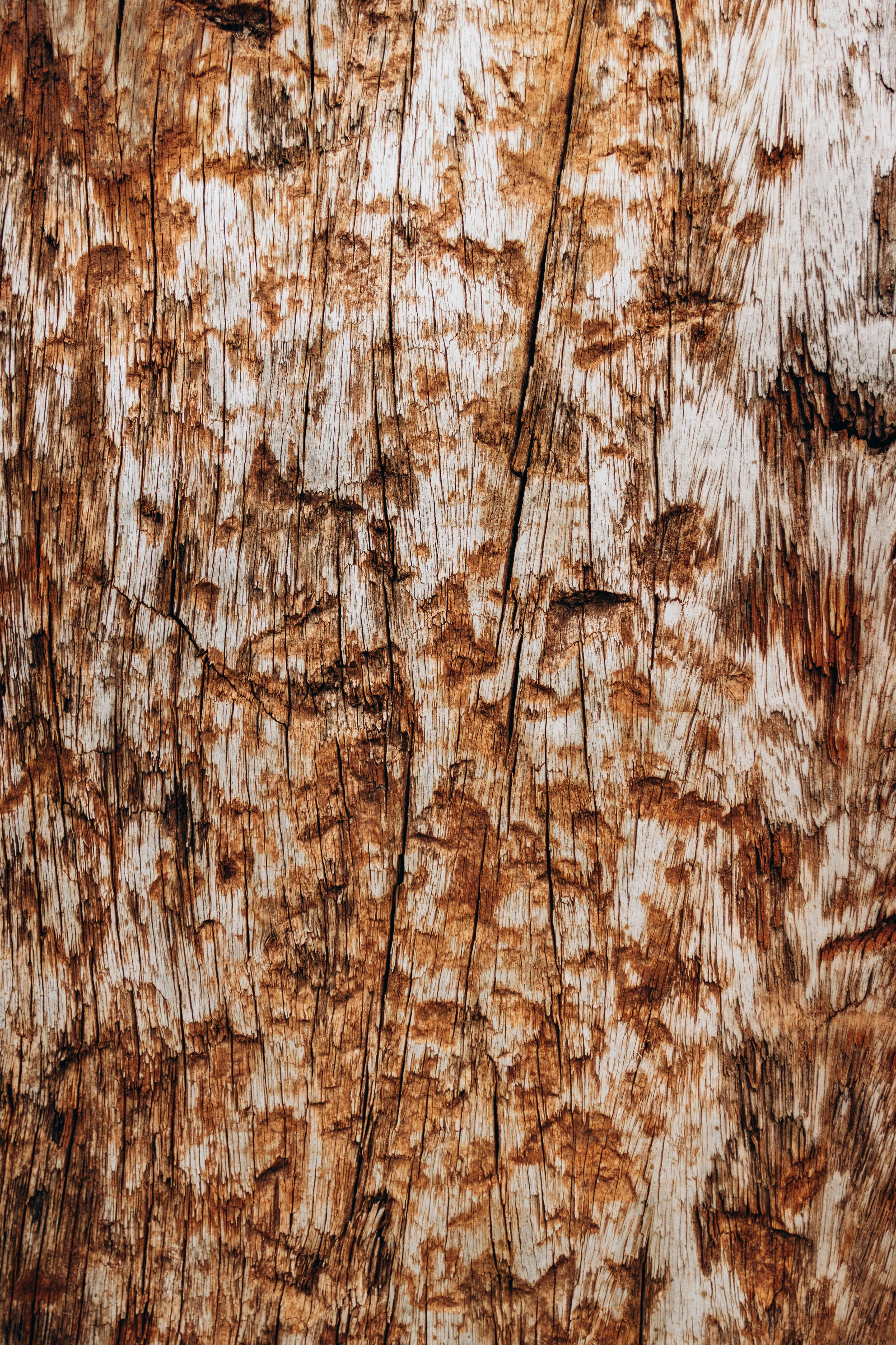 бесплатная Детальный вид выветренной деревянной поверхности, демонстрирующий естественную текстуру и узоры. Стоковое фото