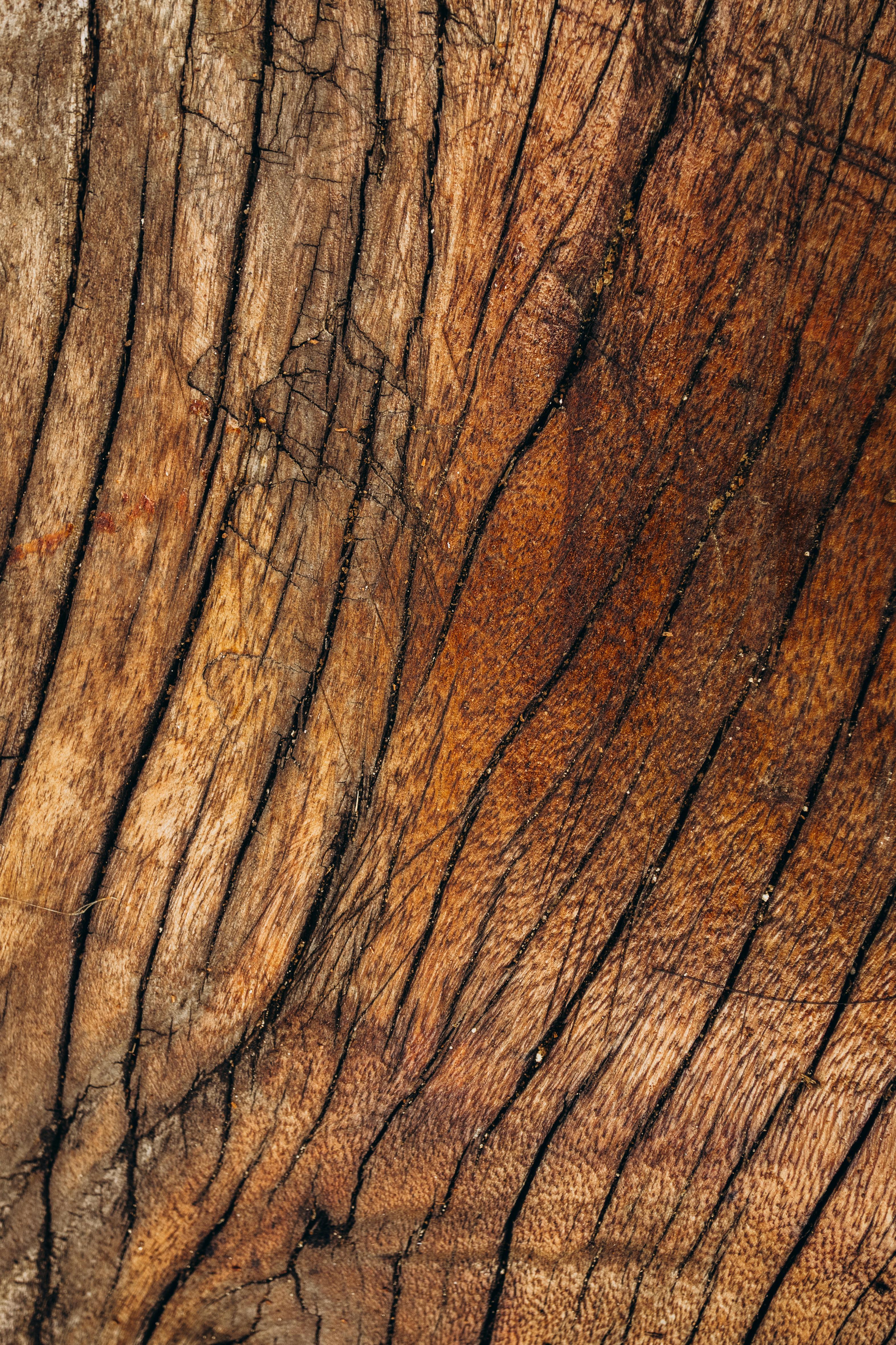 Coastal Maple Engineered