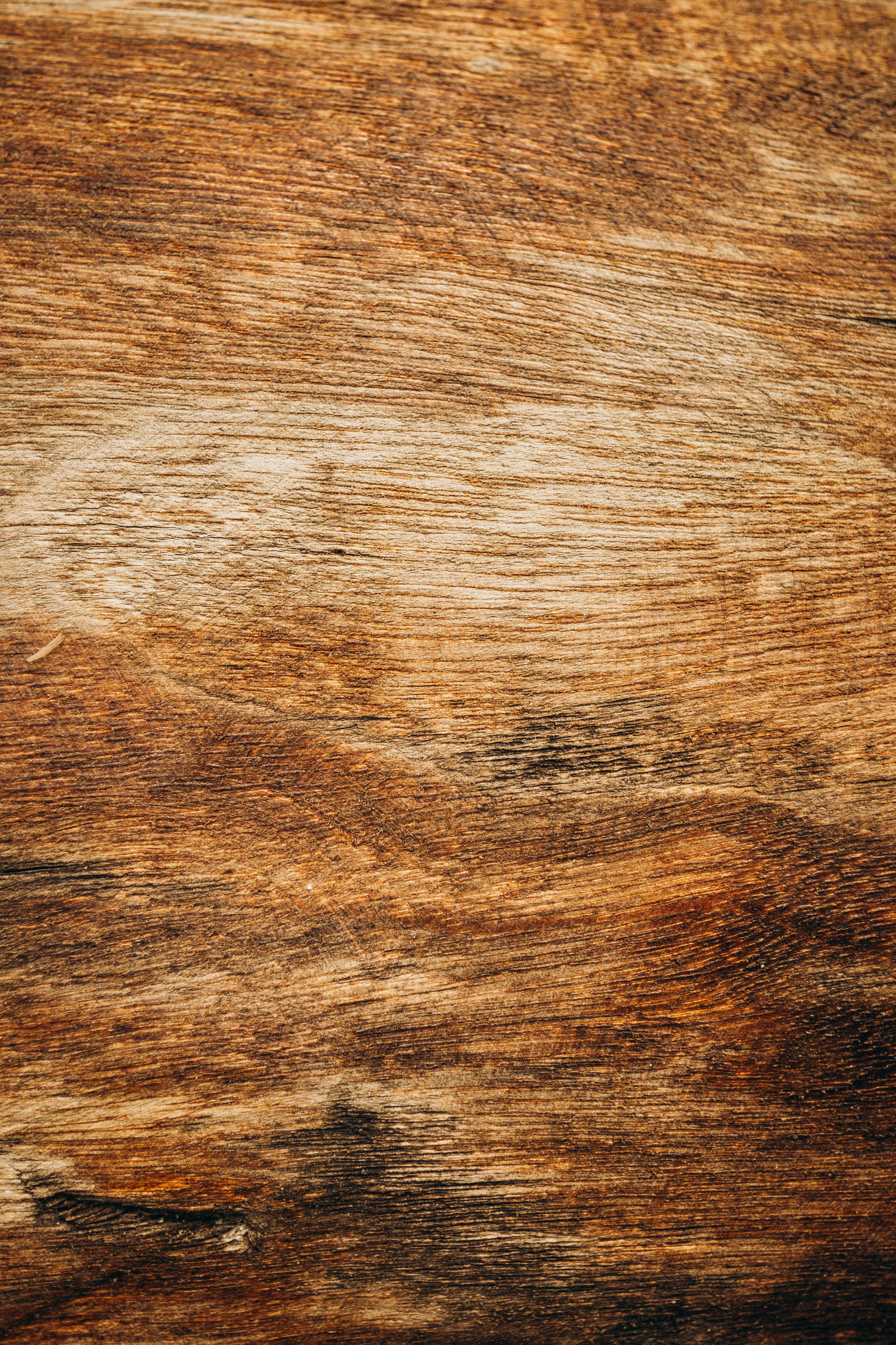 бесплатная Бесплатное стоковое фото с борьбы, грубый, декор Стоковое фото