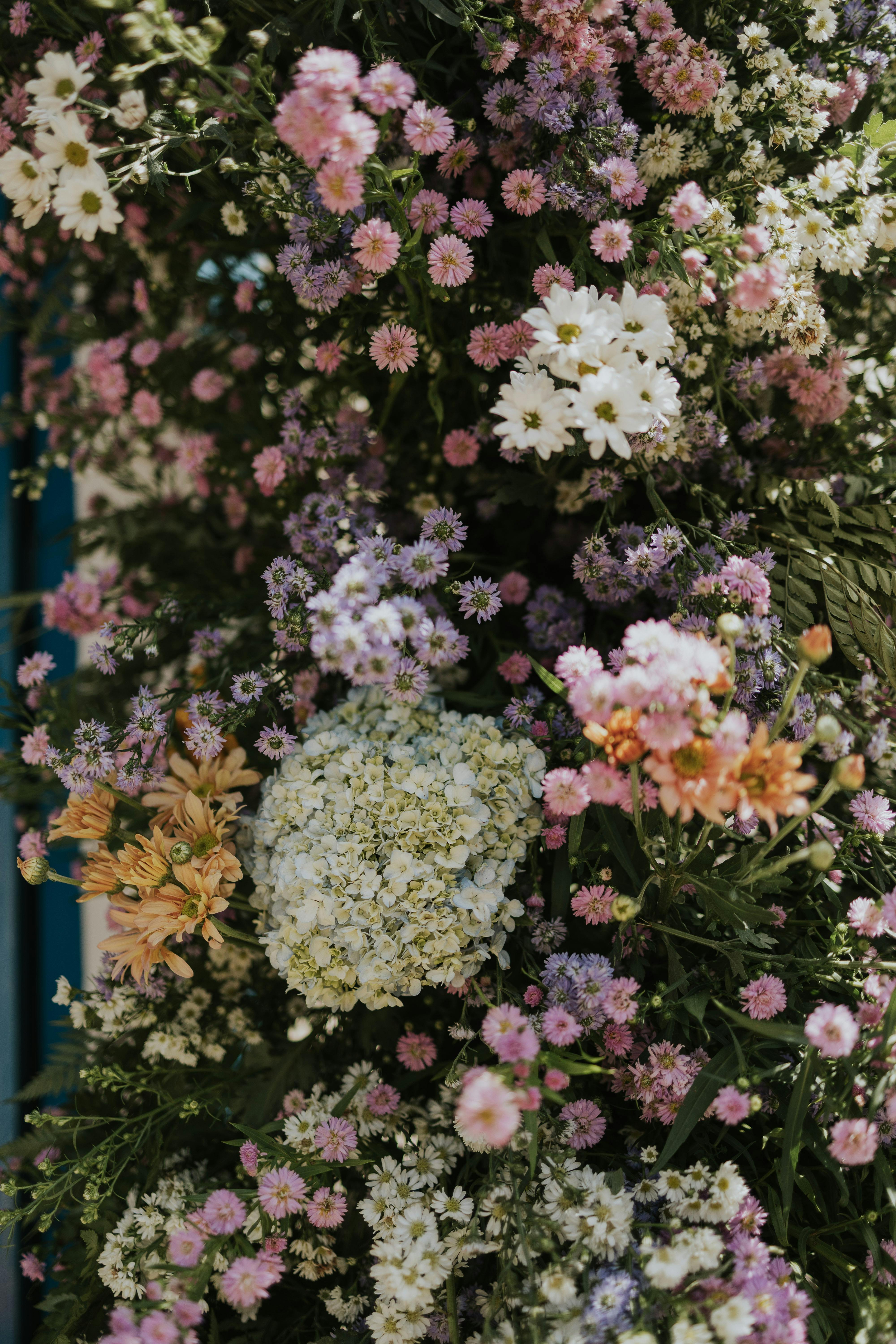 Free A stunning display of various flowers in pink, purple, and white hues, perfect for spring decor. Stock Photo