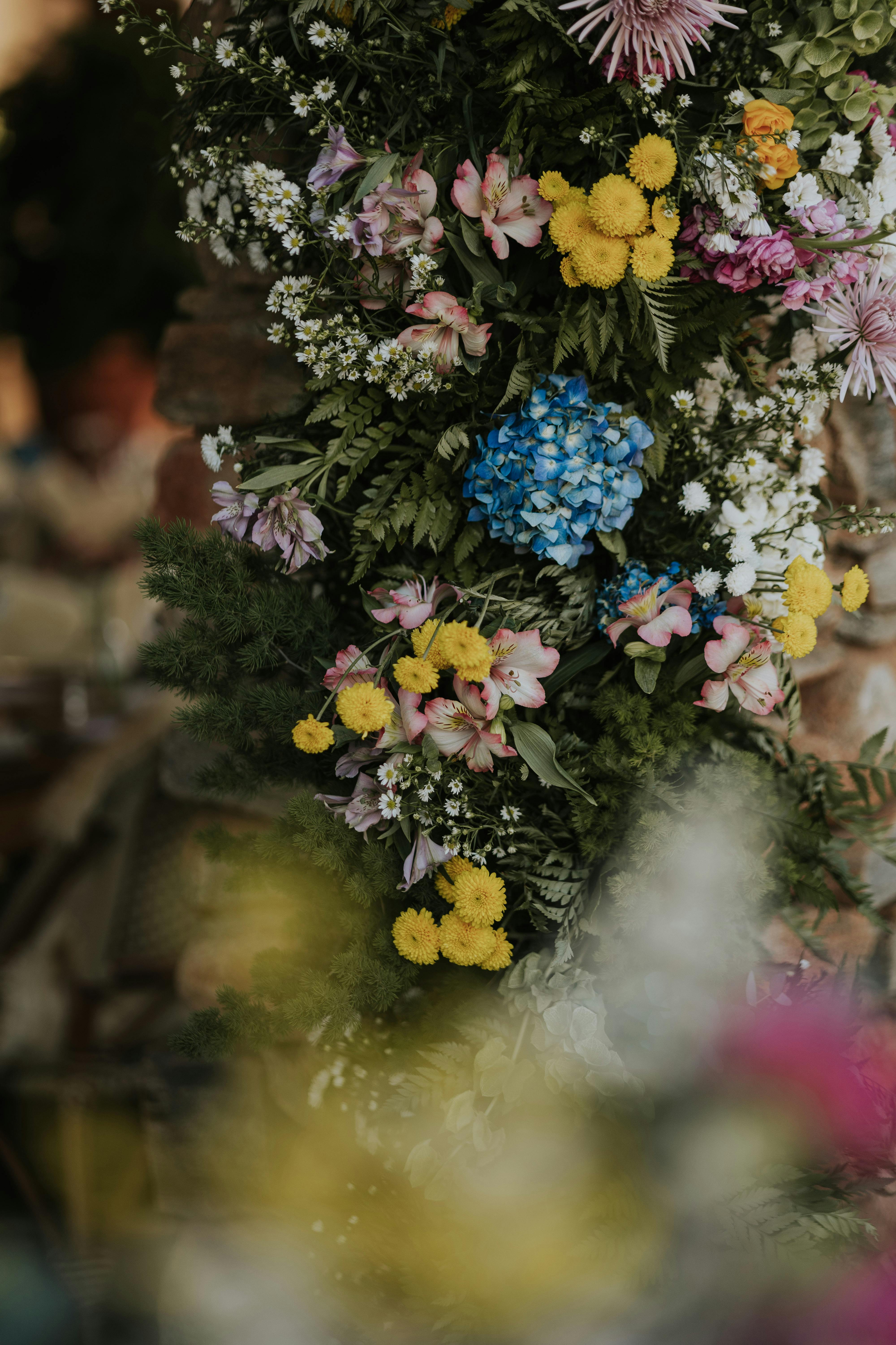 бесплатная Крупный план красочной цветочной композиции с разнообразными цветами и пышной зеленью. Стоковое фото