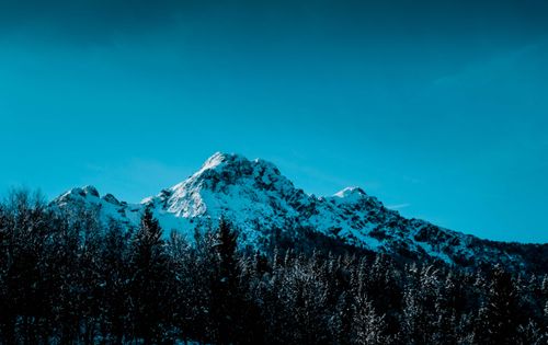 Free A stunning winter landscape showcasing snow-covered mountains and a coniferous forest under a bright blue sky. Stock Photo