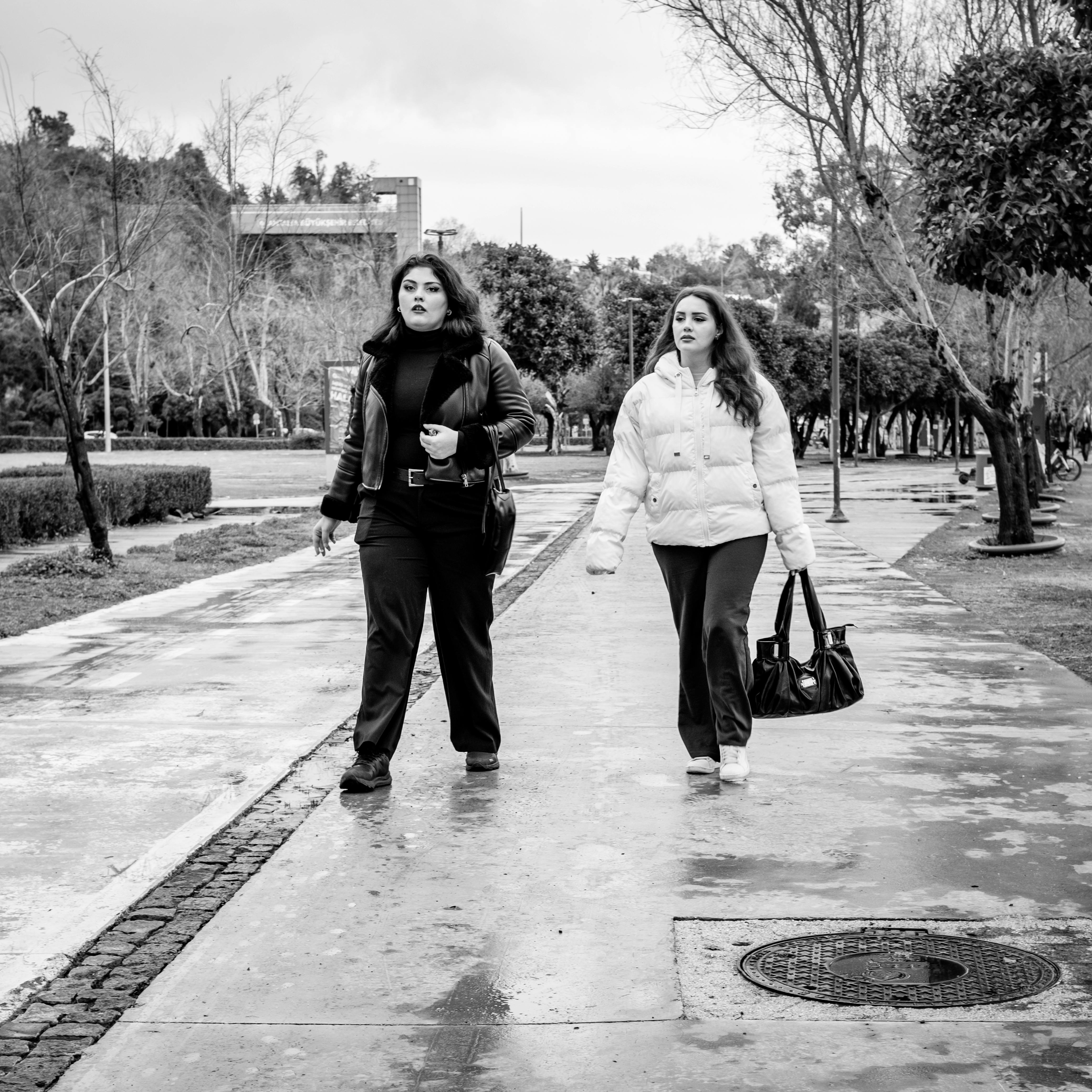 Gratis Dua wanita berjalan-jalan di taman pada hari berkabut, diabadikan dalam foto hitam putih. Foto Stok