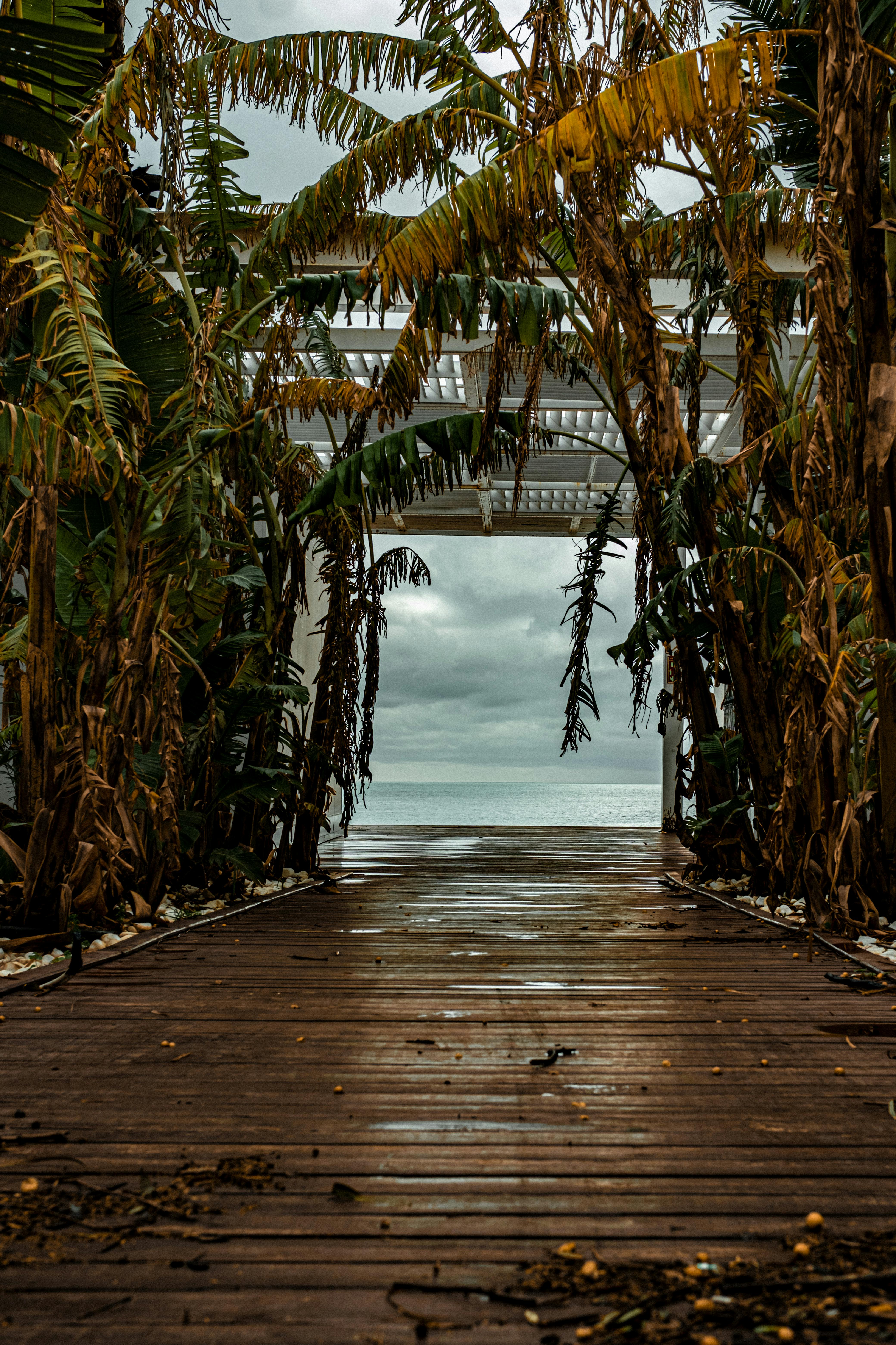 Gratis Foto stok gratis alam, awan, cantik alami Foto Stok