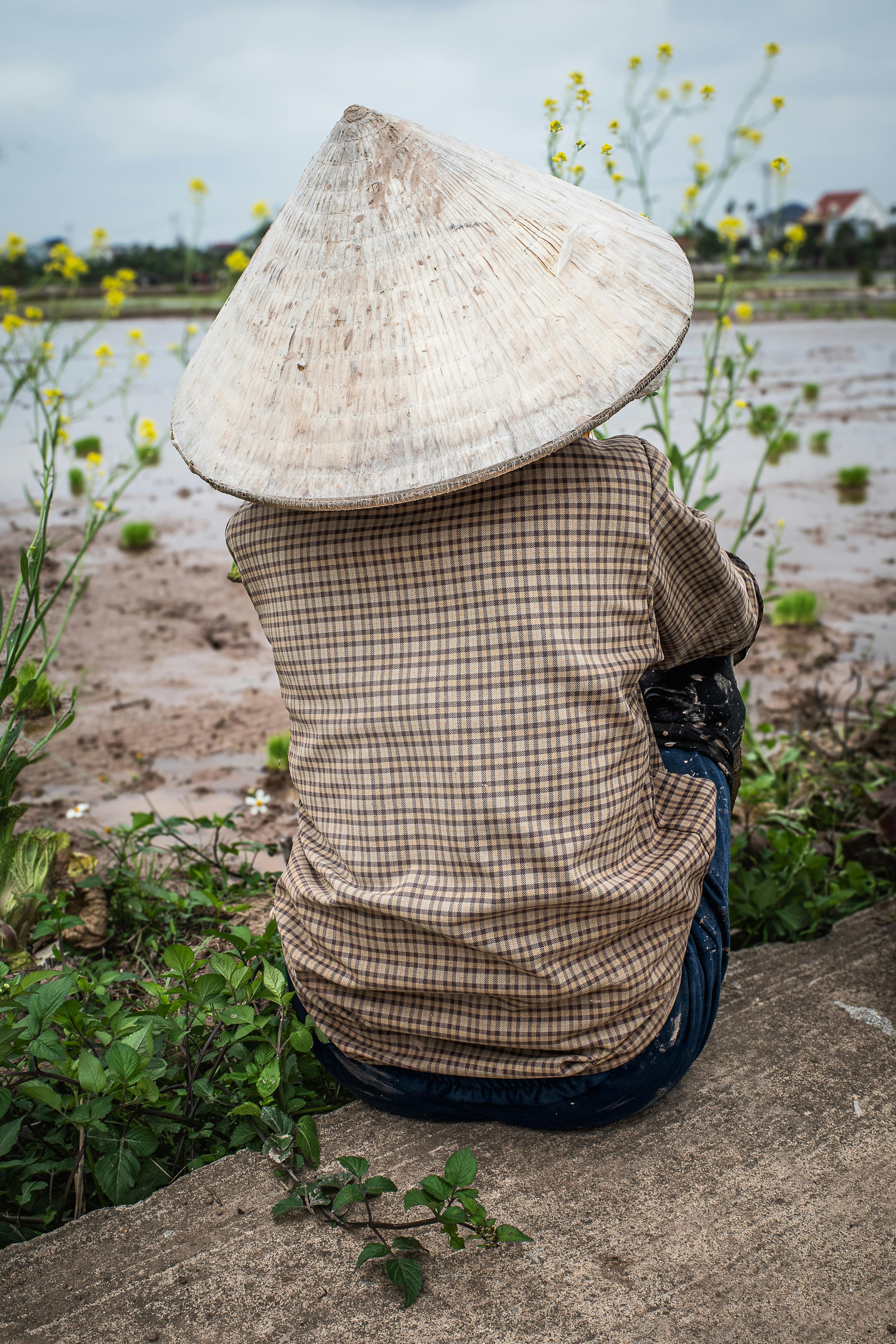 Gratis lagerfoto af arbejder, årstidsbestemt, Asien Lagerfoto