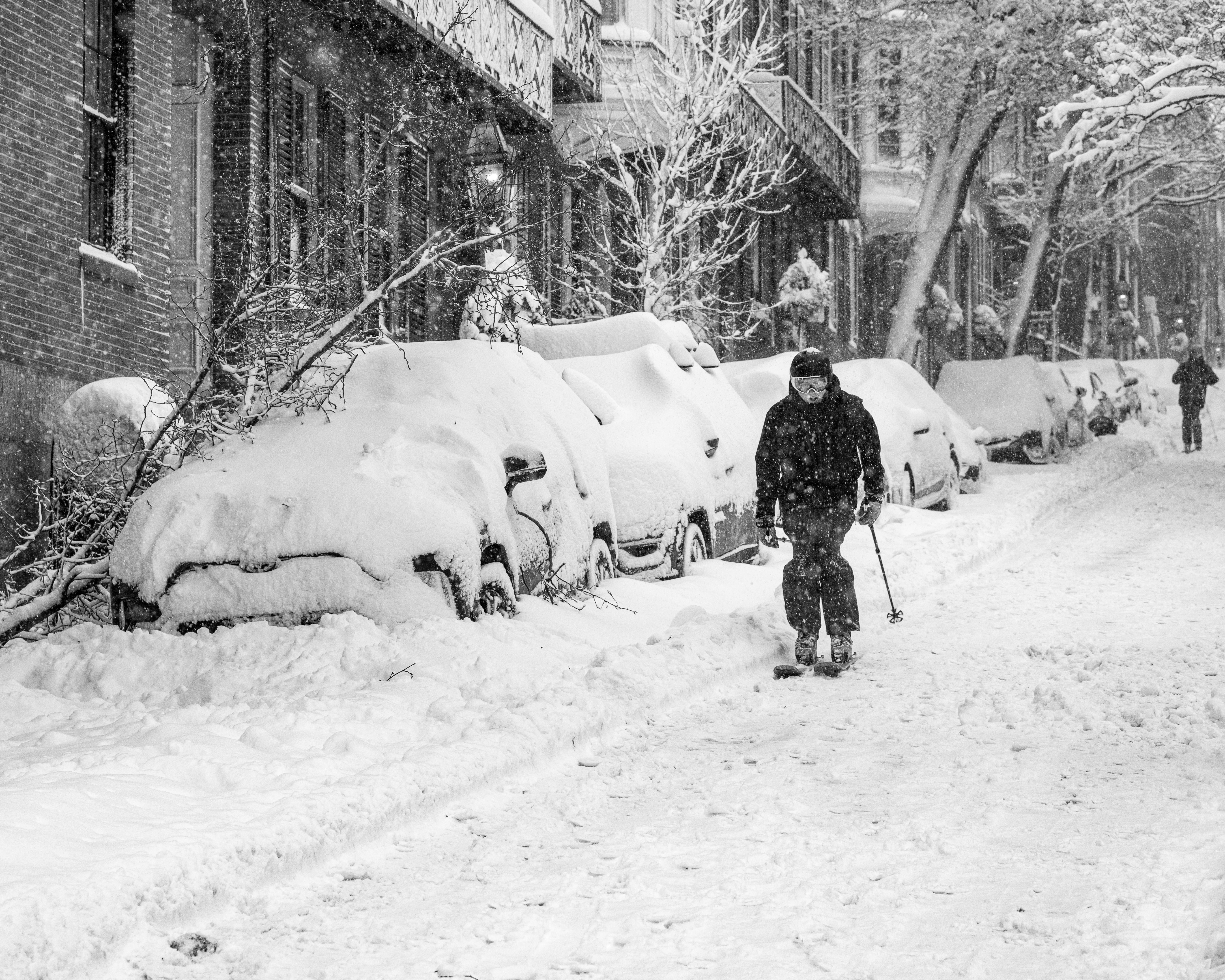 Gratis Seorang pemain ski melintasi jalanan Boston yang bersalju, diapit oleh mobil dan pepohonan yang tertutup salju, saat hujan salju lebat. Foto Stok