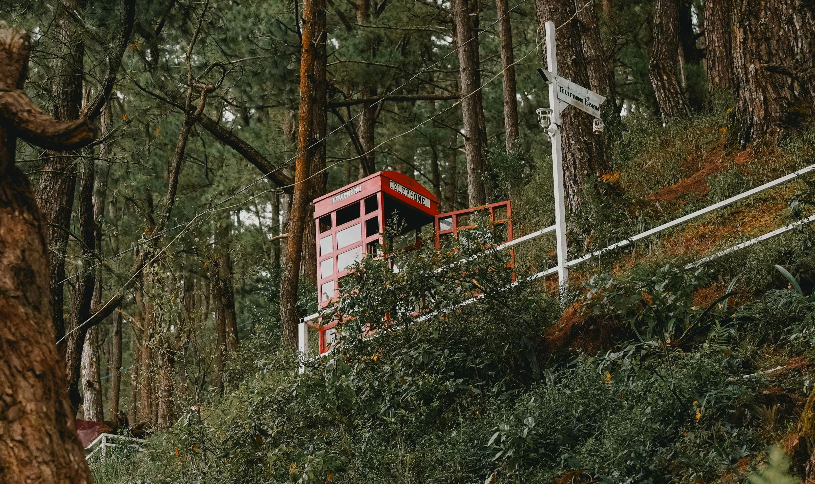Free Classic red telephone booth situated in a lush forest environment, blending charm and nature. Stock Photo