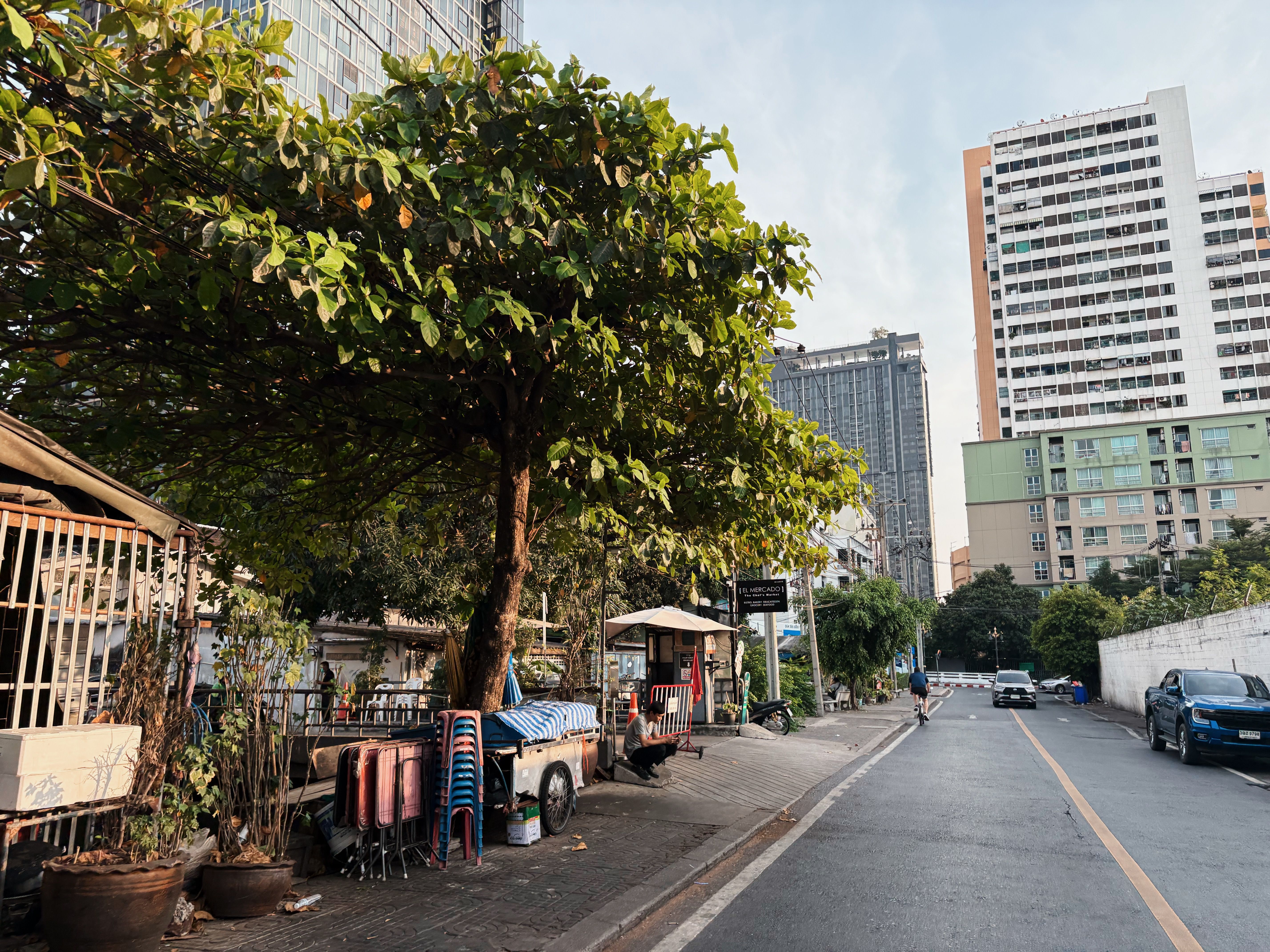 Urban Street View with Lush Tree and High-rise Buildings · Free Stock Photo