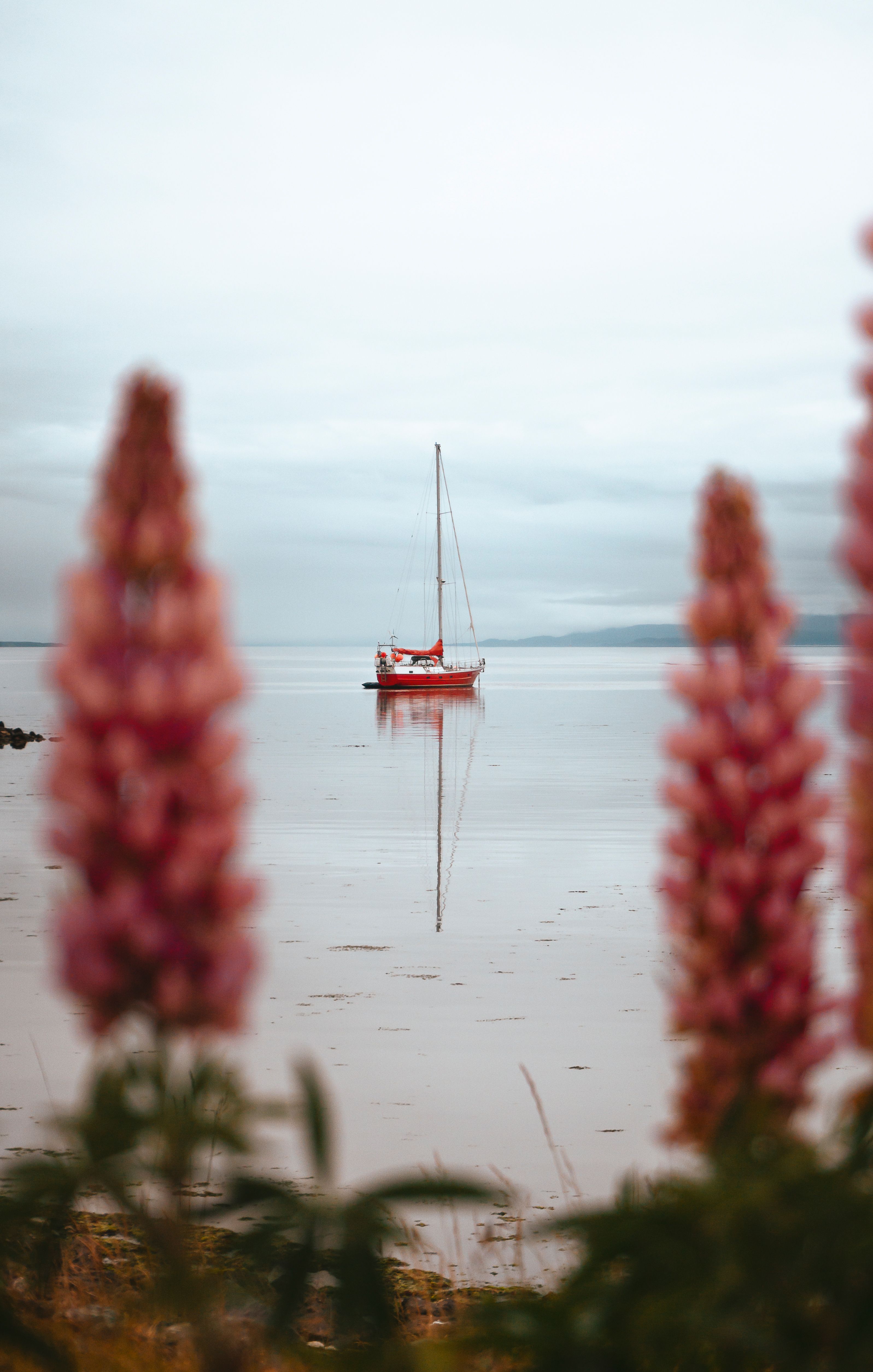 A serene view of a red sailing boat in Ushuaia's peaceful waters framed by blurred flowers.