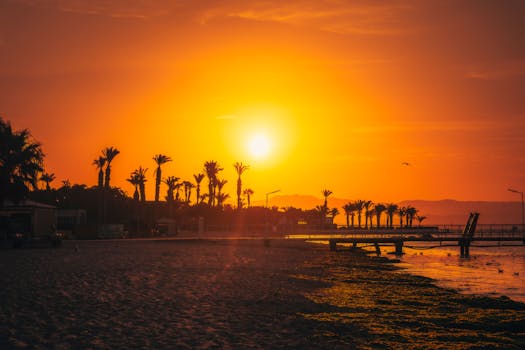 Stunning sunset over Paracas beach with palm trees silhouetted against the vibrant sky.