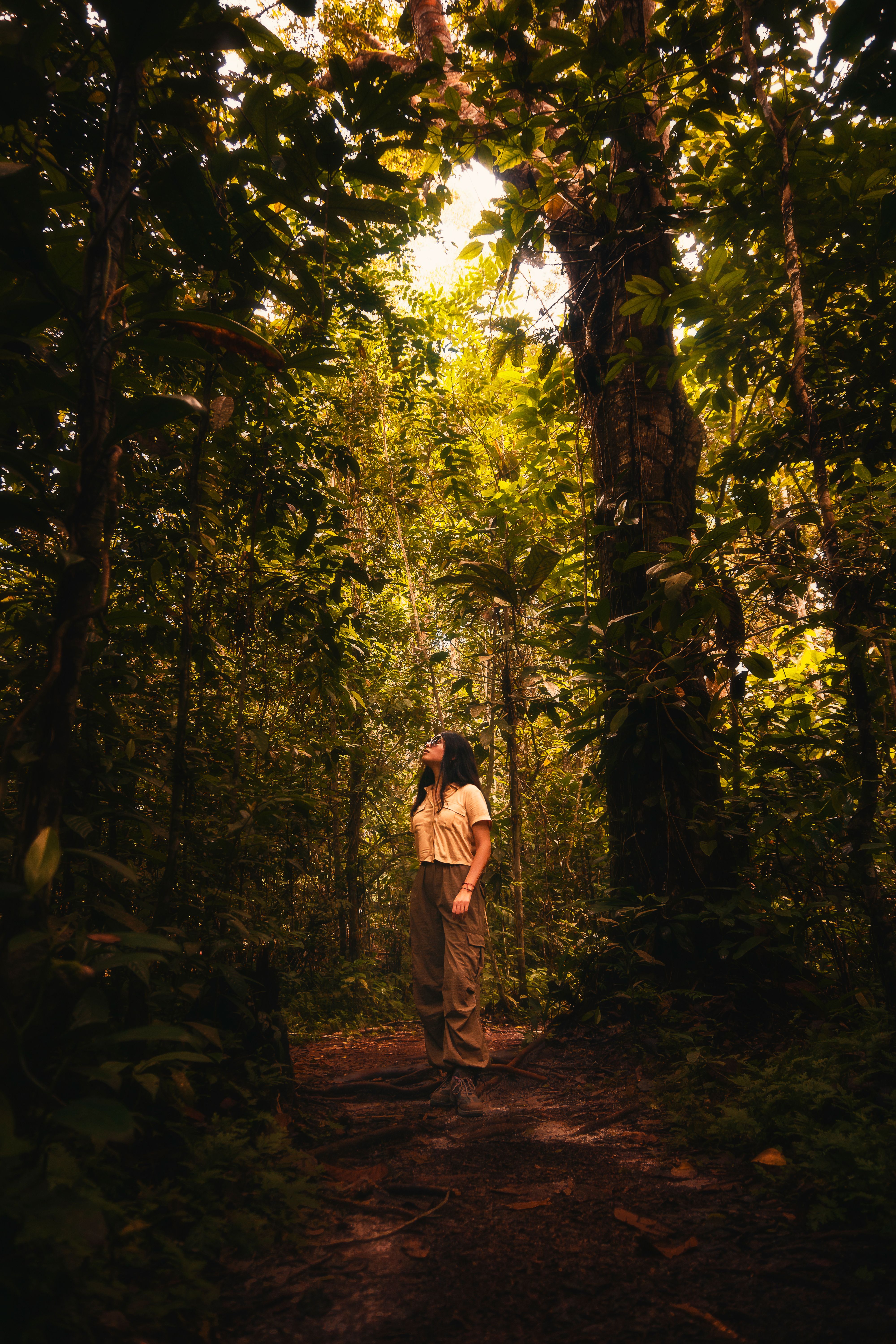 Selva Peruana