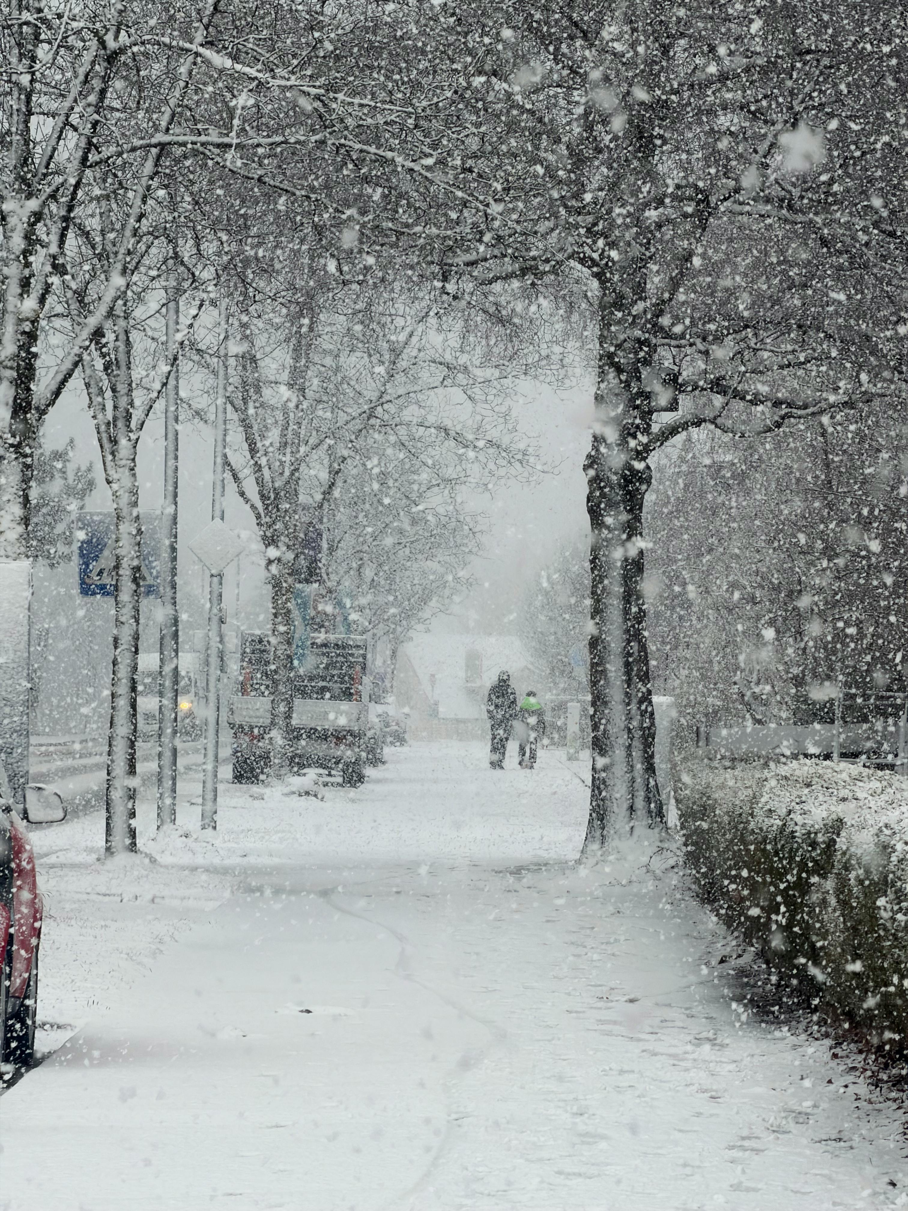 Gratis Jalanan yang tertutup salju dengan orang-orang berjalan kaki saat salju turun lebat, menciptakan suasana negeri ajaib musim dingin. Foto Stok