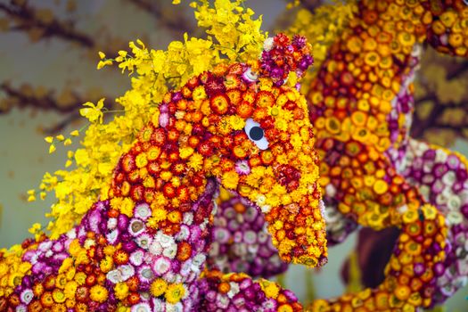 Vibrant seahorse sculpture made of colorful flowers, showcasing artistic floral creativity.