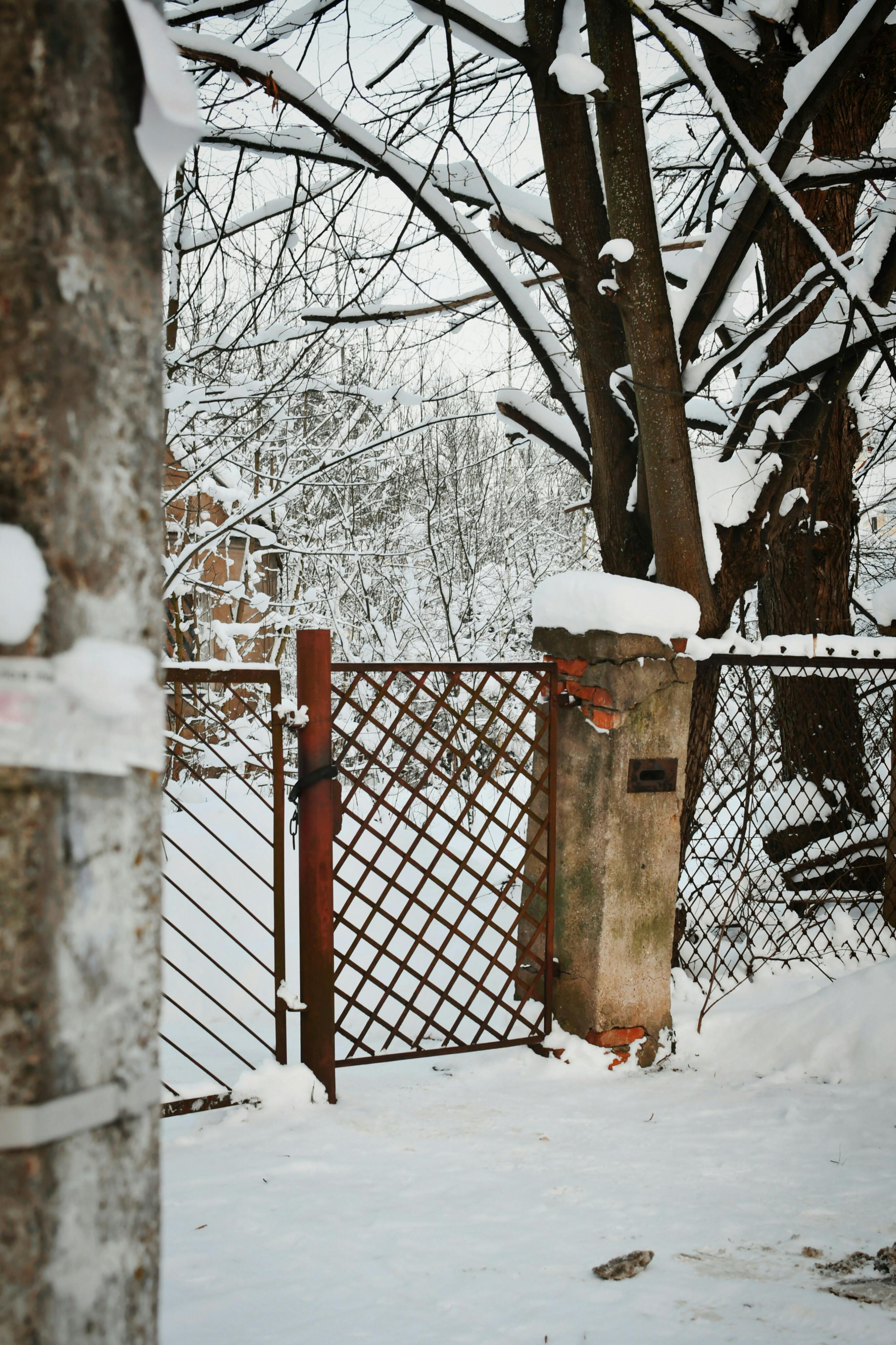 無料 素朴な金属製の門と雪をかぶった木々が、屋外に静かな冬の風景を作り出します。 写真素材