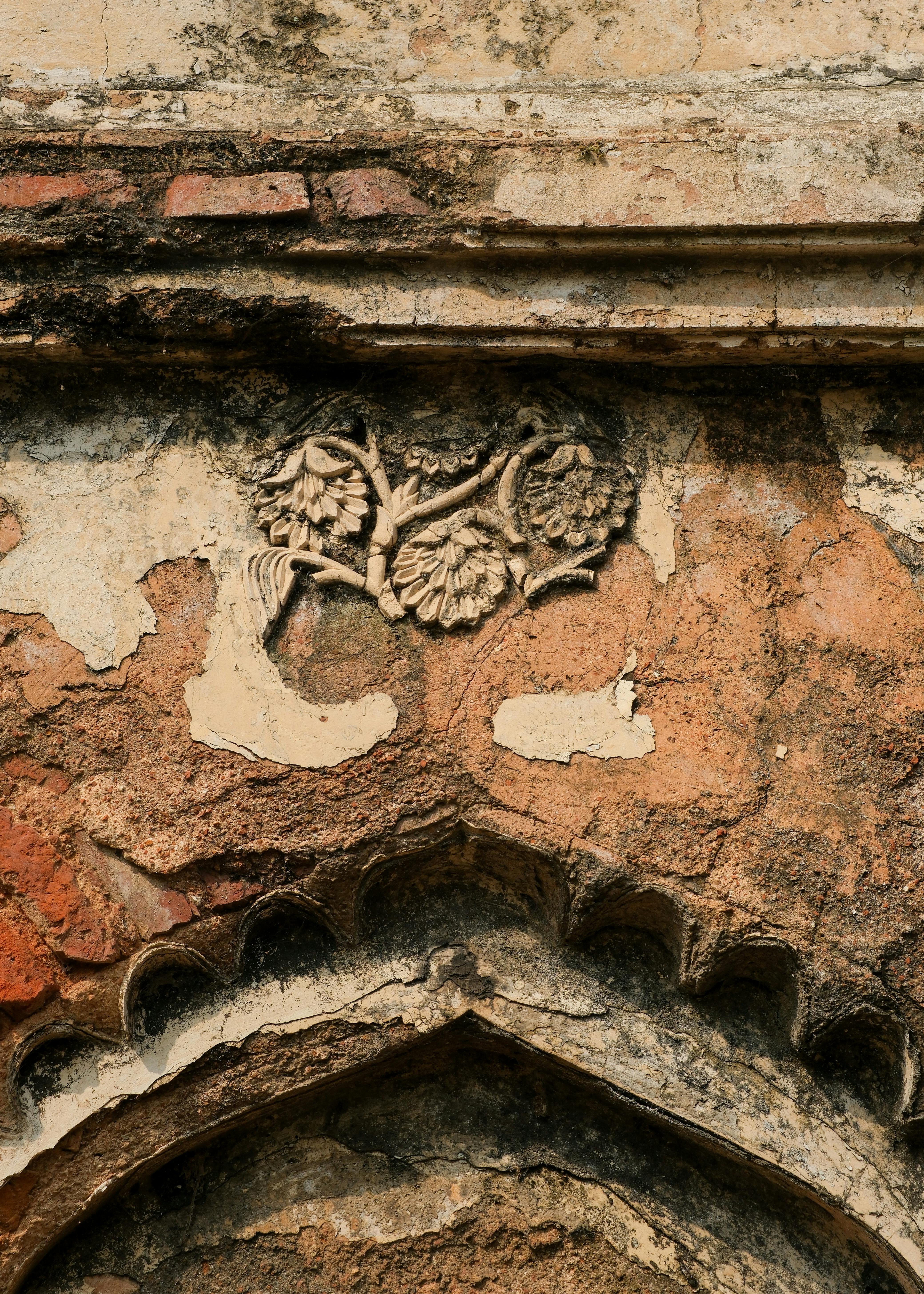 無料 アーチ, アーチ道, アートの無料の写真素材 写真素材