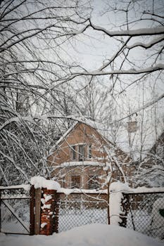 A cozy house nestled in a snowy forest, showcasing winter beauty.