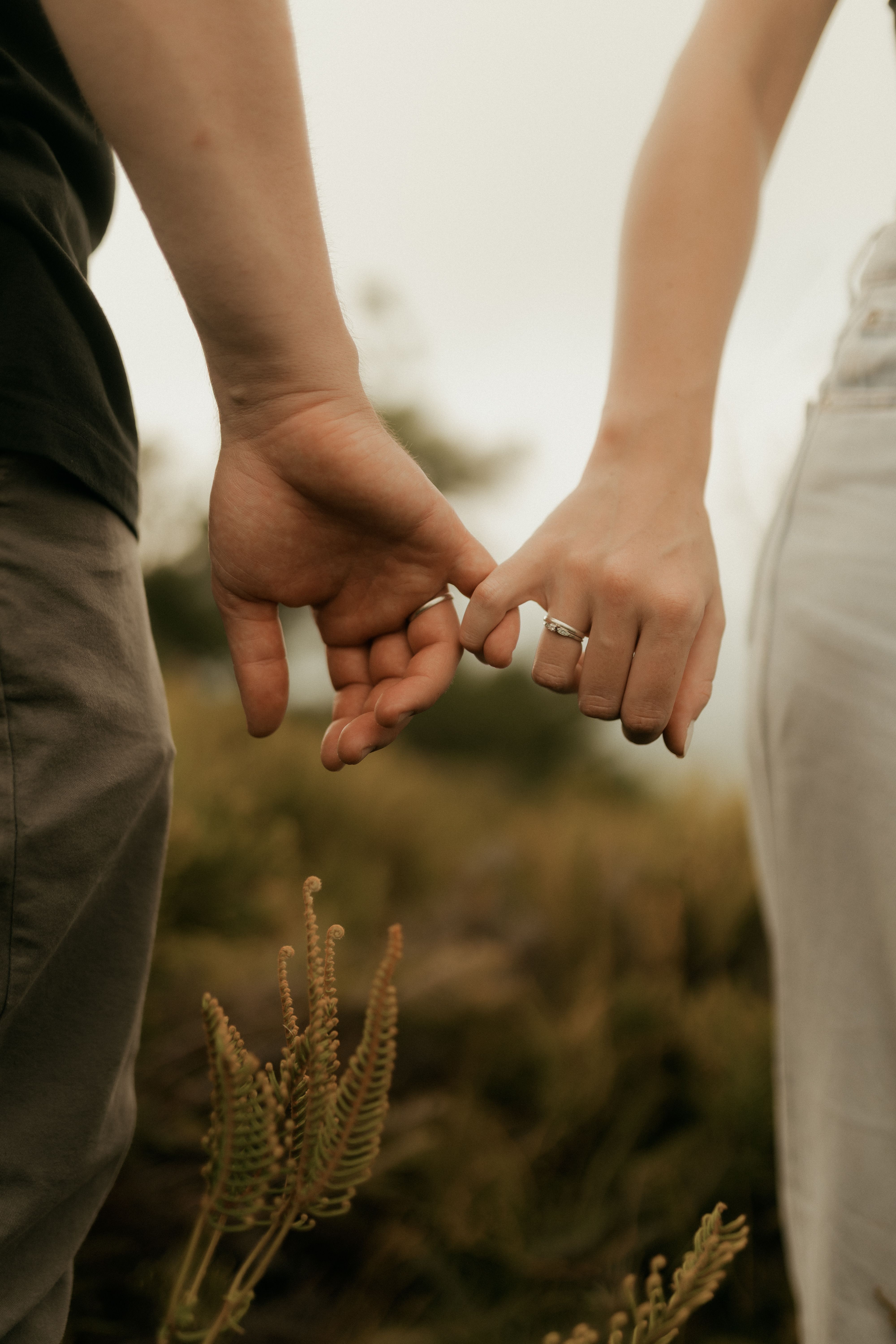 Romantic Couple Holding Hands Outdoors · Free Stock Photo