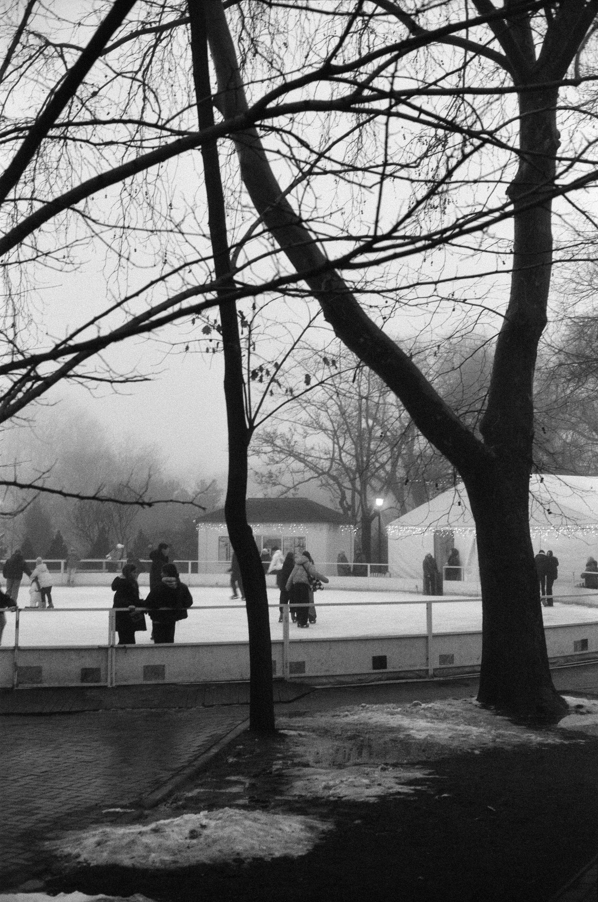 無料 木々に囲まれた屋外アイススケートリンクでスケートをする人々の白黒写真。 写真素材