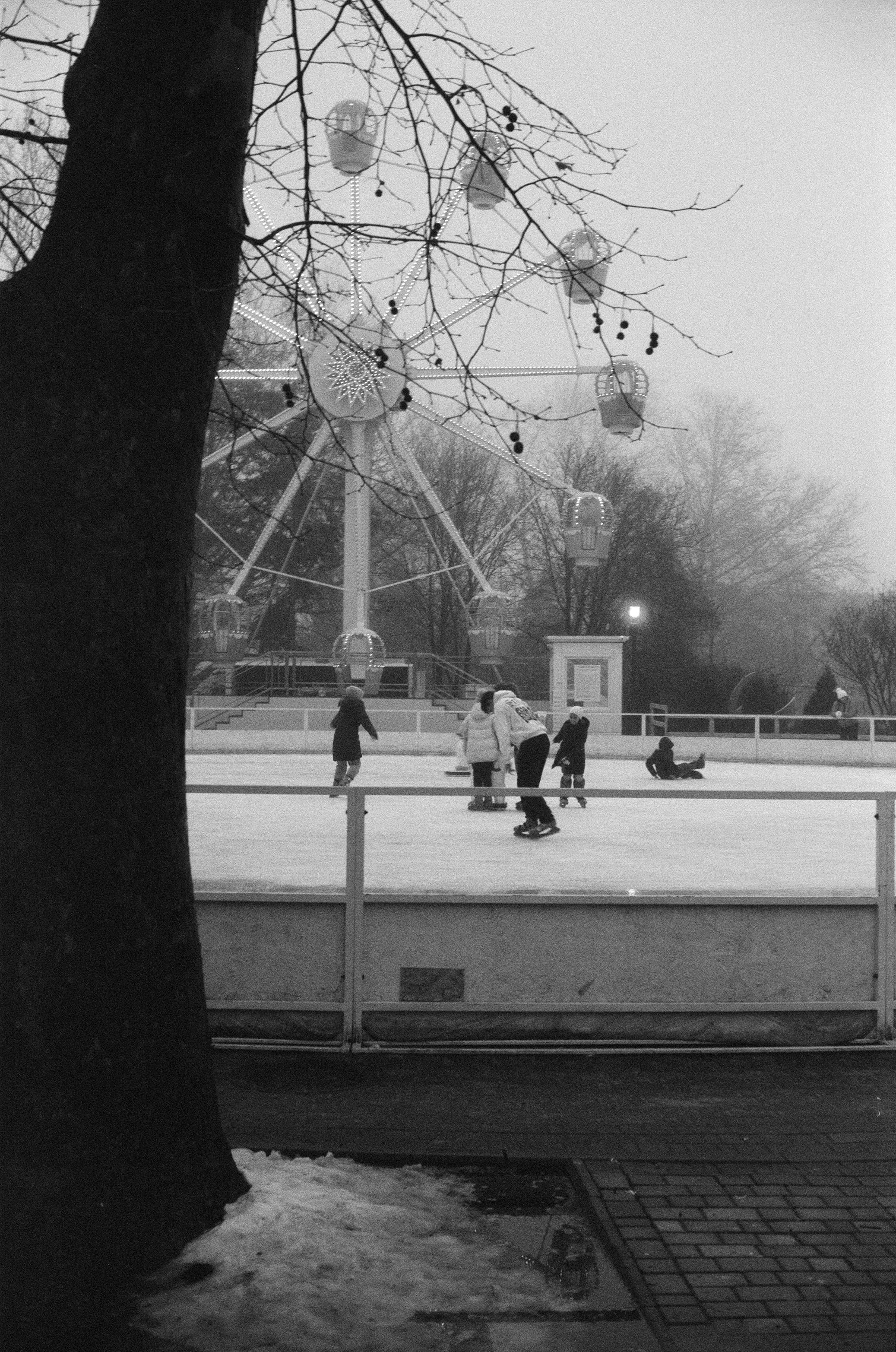 無料 アイススケート, アダルト, ウクライナの無料の写真素材 写真素材