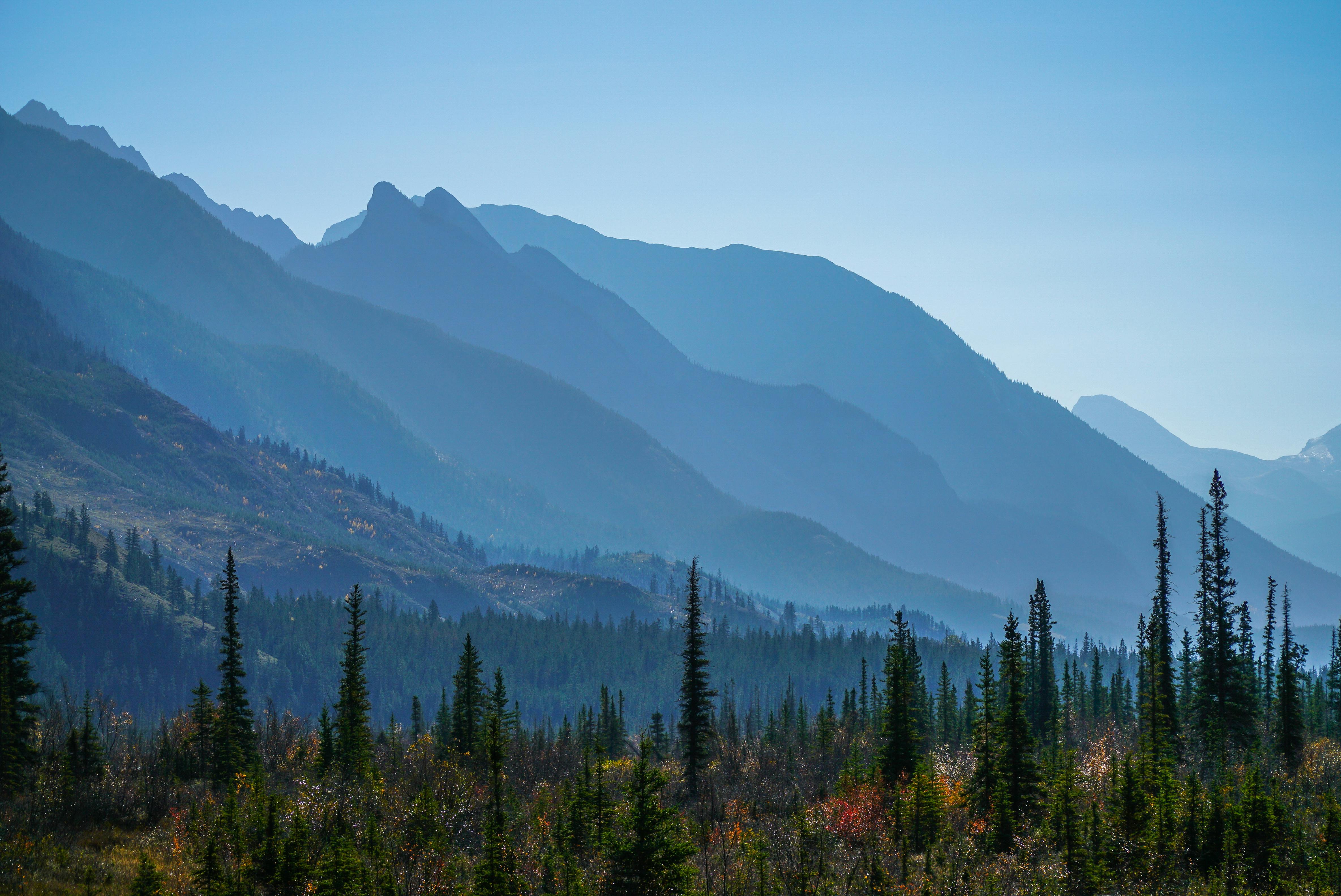 Beautiful mountain layers with autumn forest in Jasper National Park, Alberta.