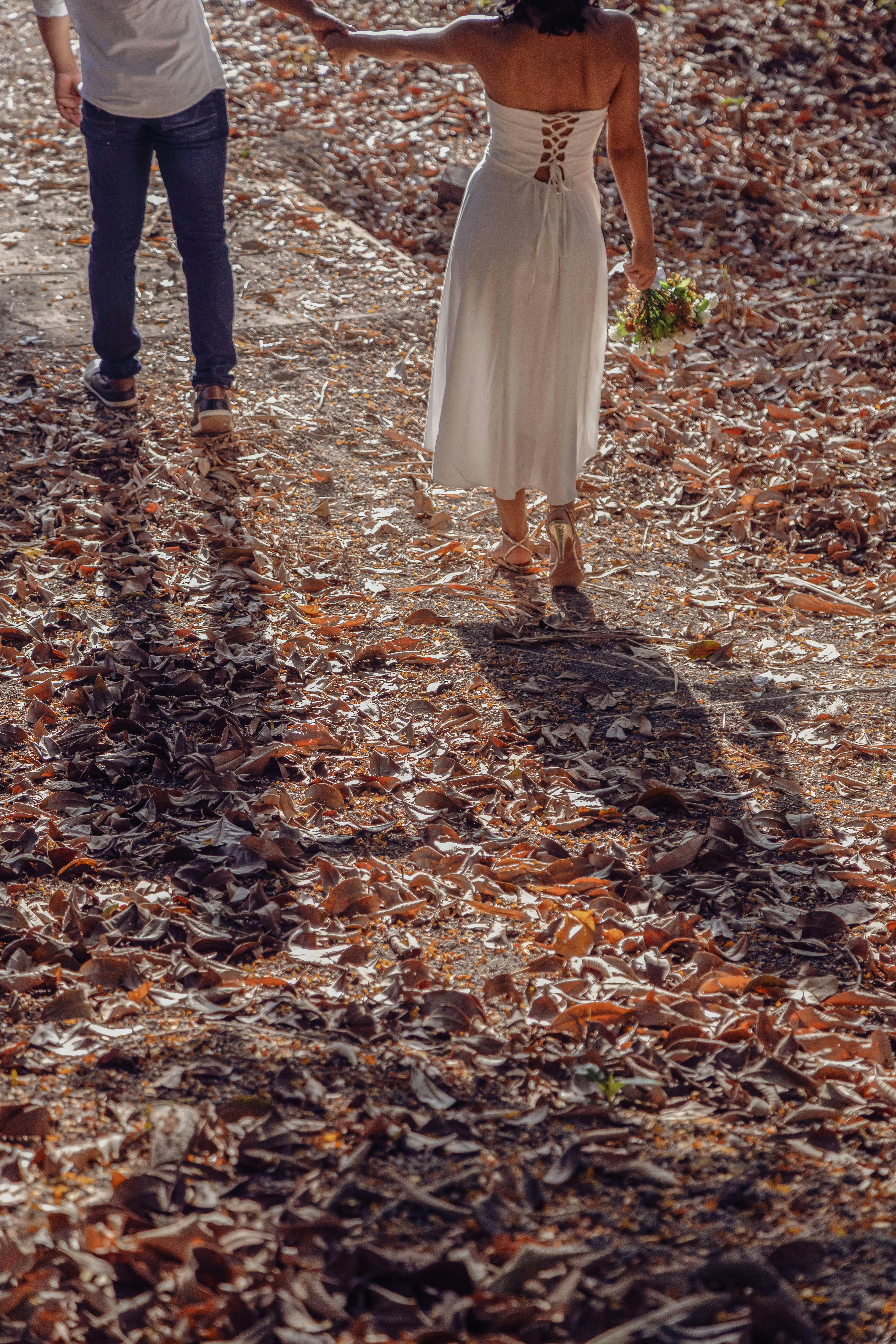 бесплатная Бесплатное стоковое фото с parã¡, бразилия, вивер Стоковое фото