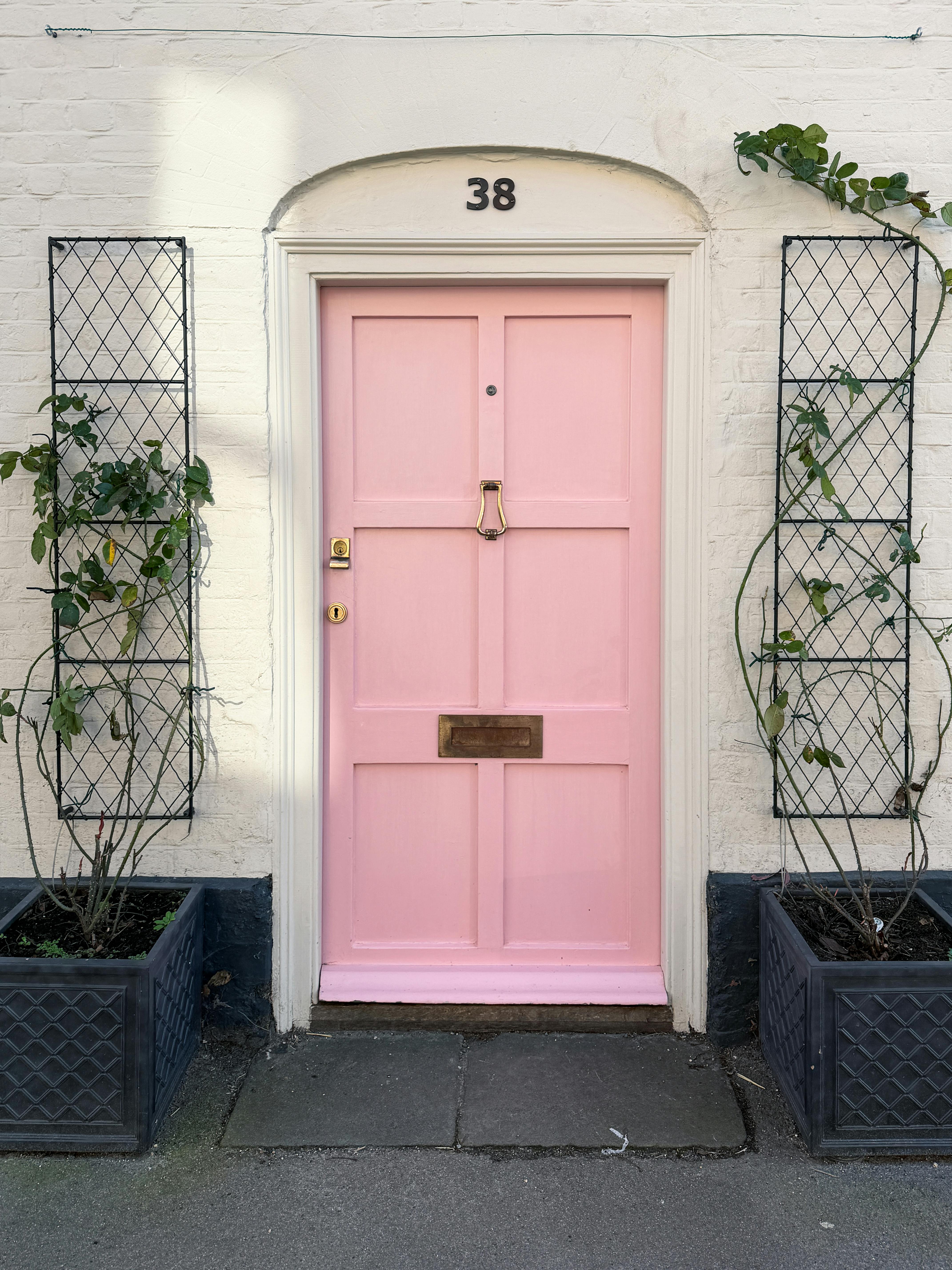 無料 イギリスのピュージーにある、つる植物が茂ったピンクの玄関ドアが、通りの景色に魅力を加えています。 写真素材